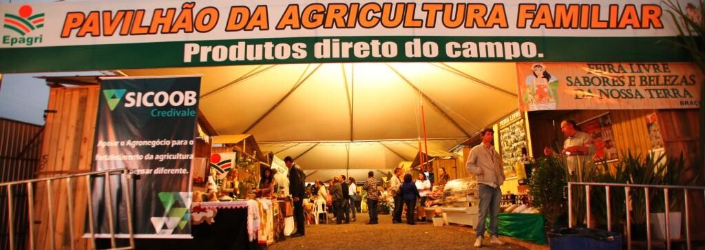 Executivo transforma em lei mais cinco projetos elaborados por deputados