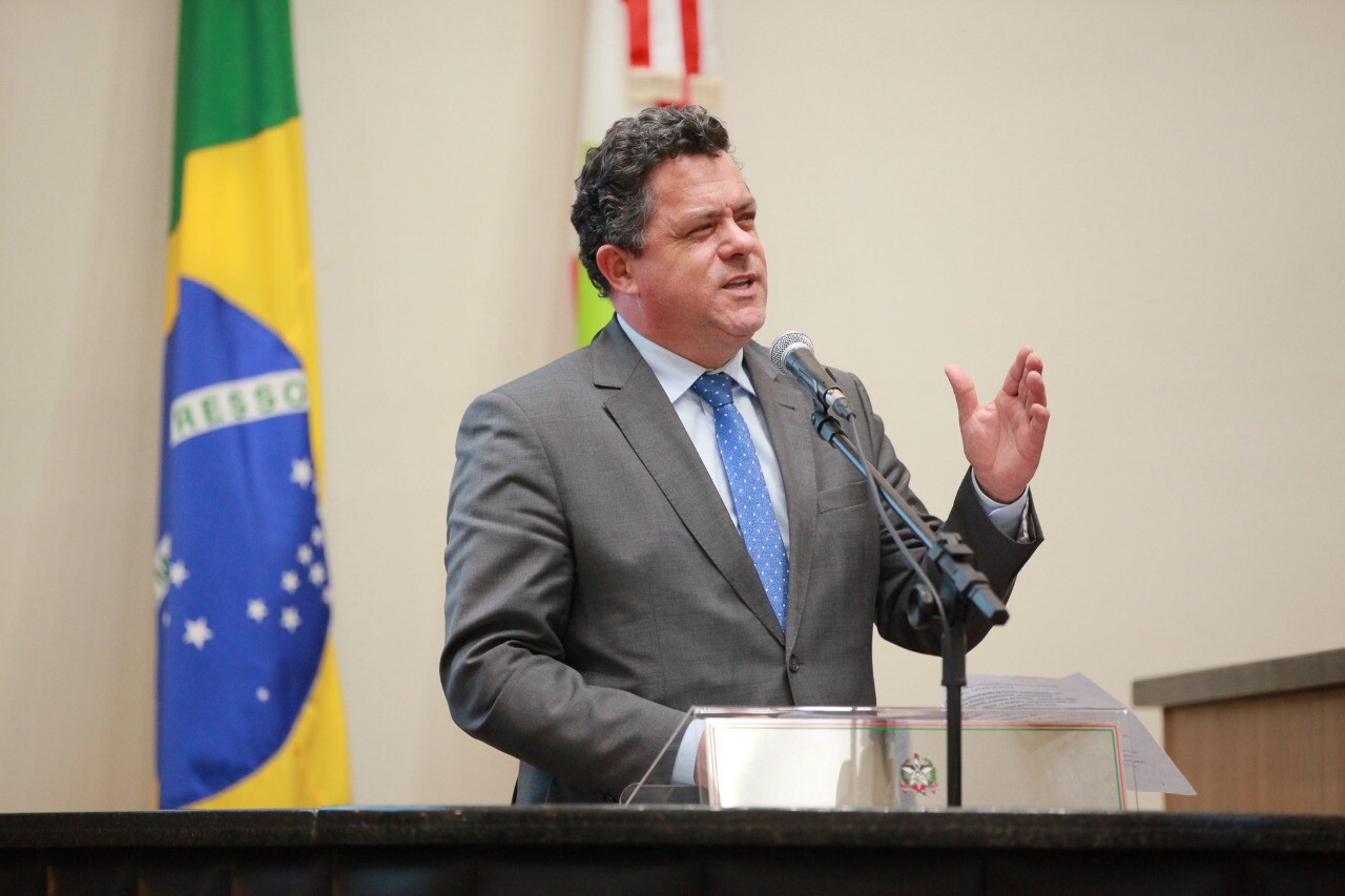 Naatz quer explicações da Polícia Ambiental sobre morte de baleias em redes