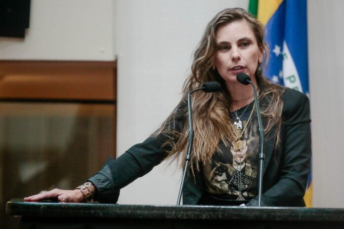 Representantes do turismo receptivo agradecem Paulinha em pleito que significa novo marco para setor