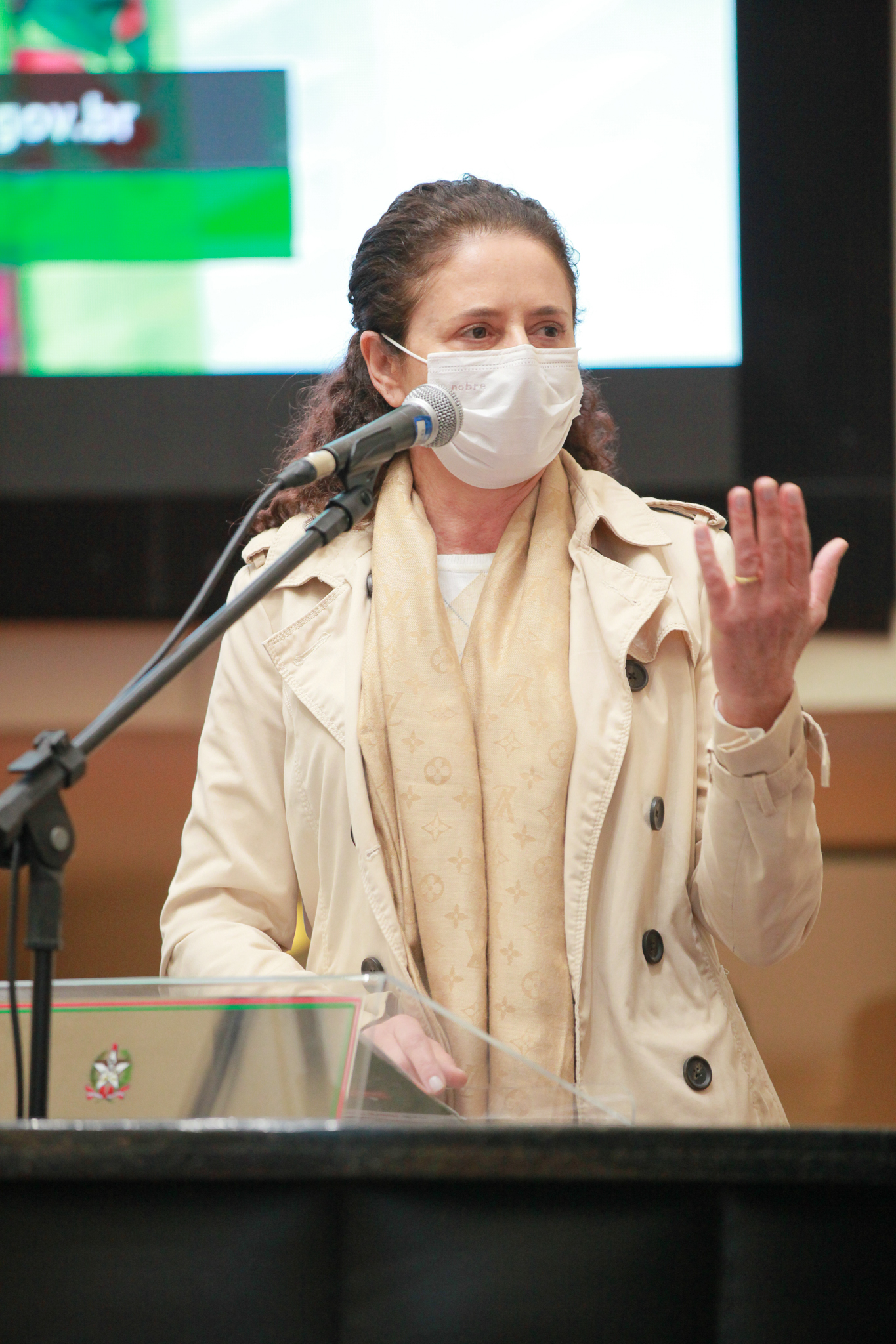 Deputada Marlene Fengler (PSD)