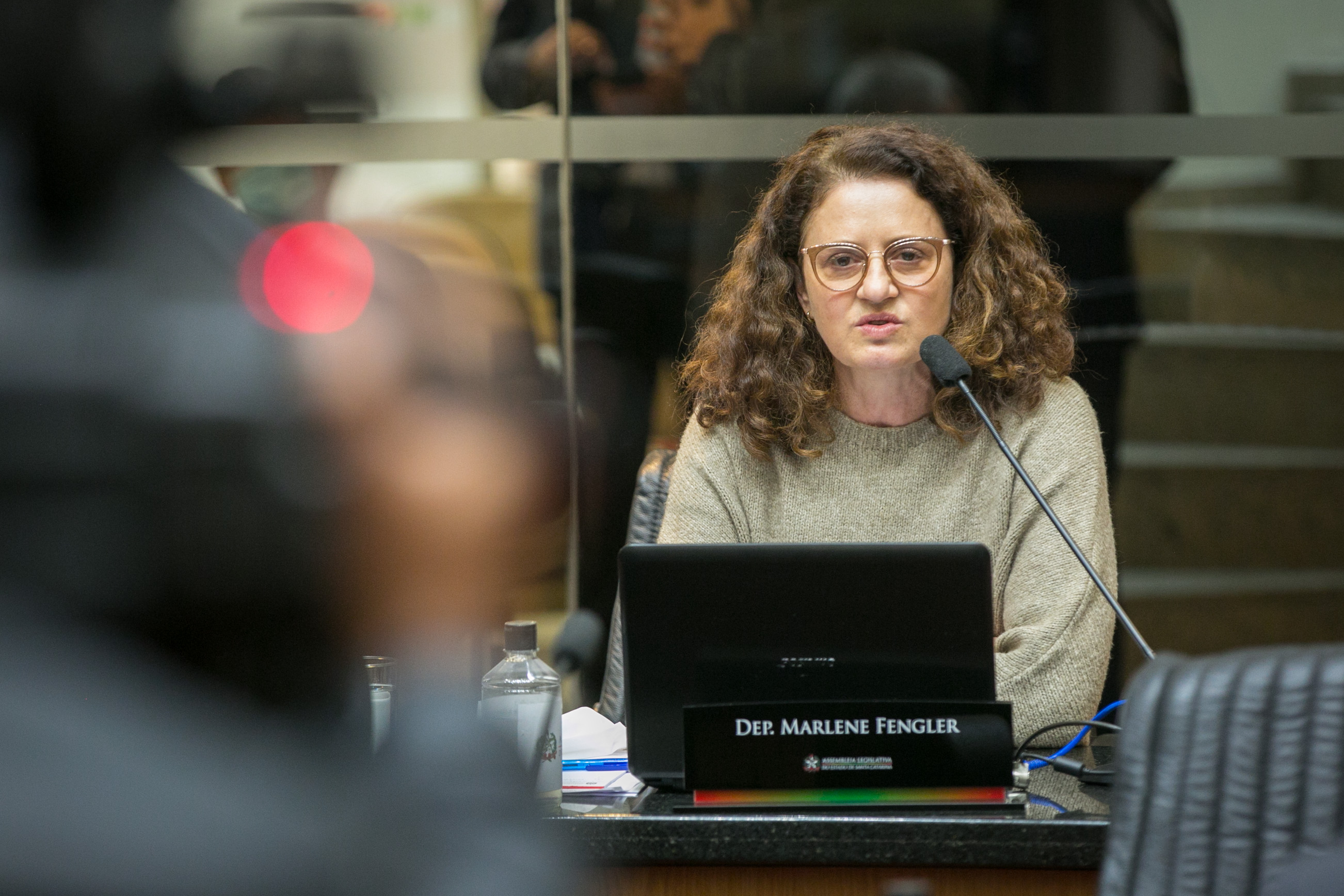 Deputada Marlene Fengler (PSD)
