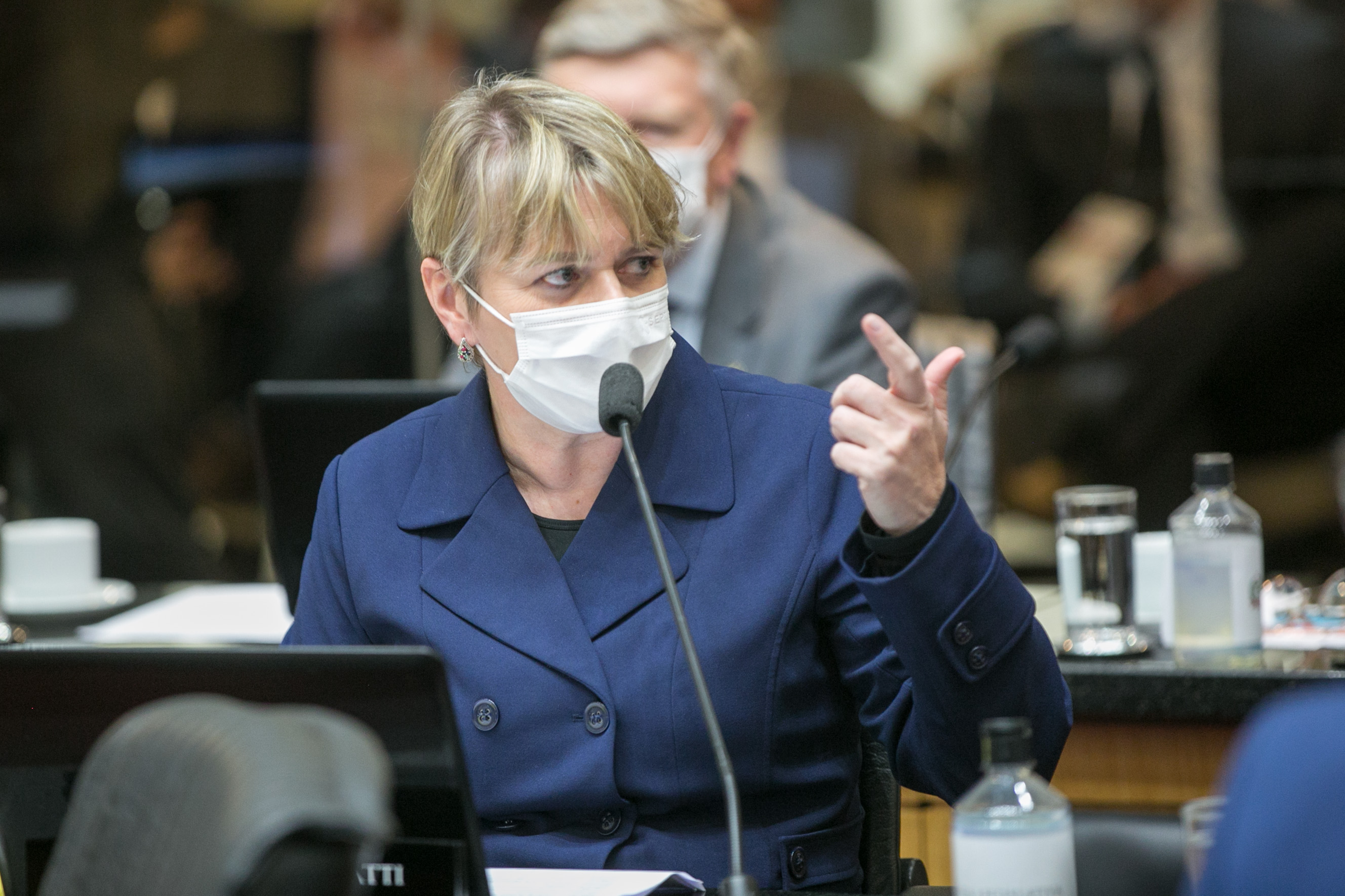 Deputada Luciane Carminatti (PT)