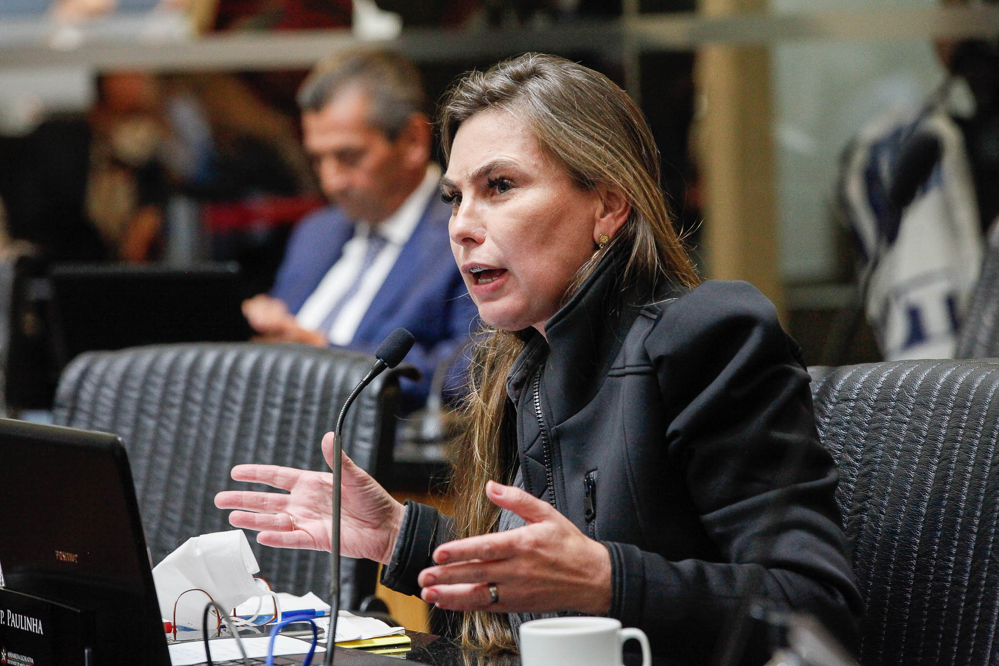 Deputada Ana Paula da Silva (Sem Partido)