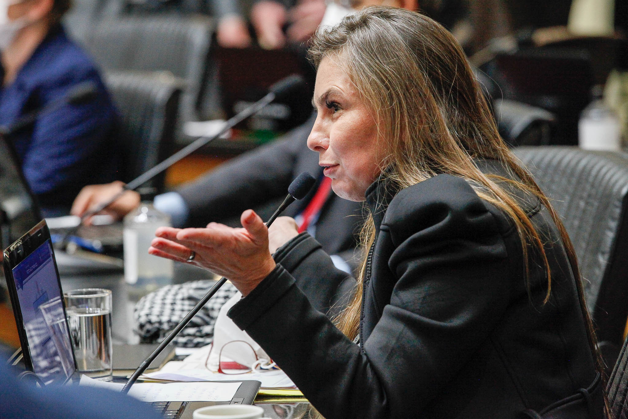 Deputada Ana Paula da Silva (Sem Partido)