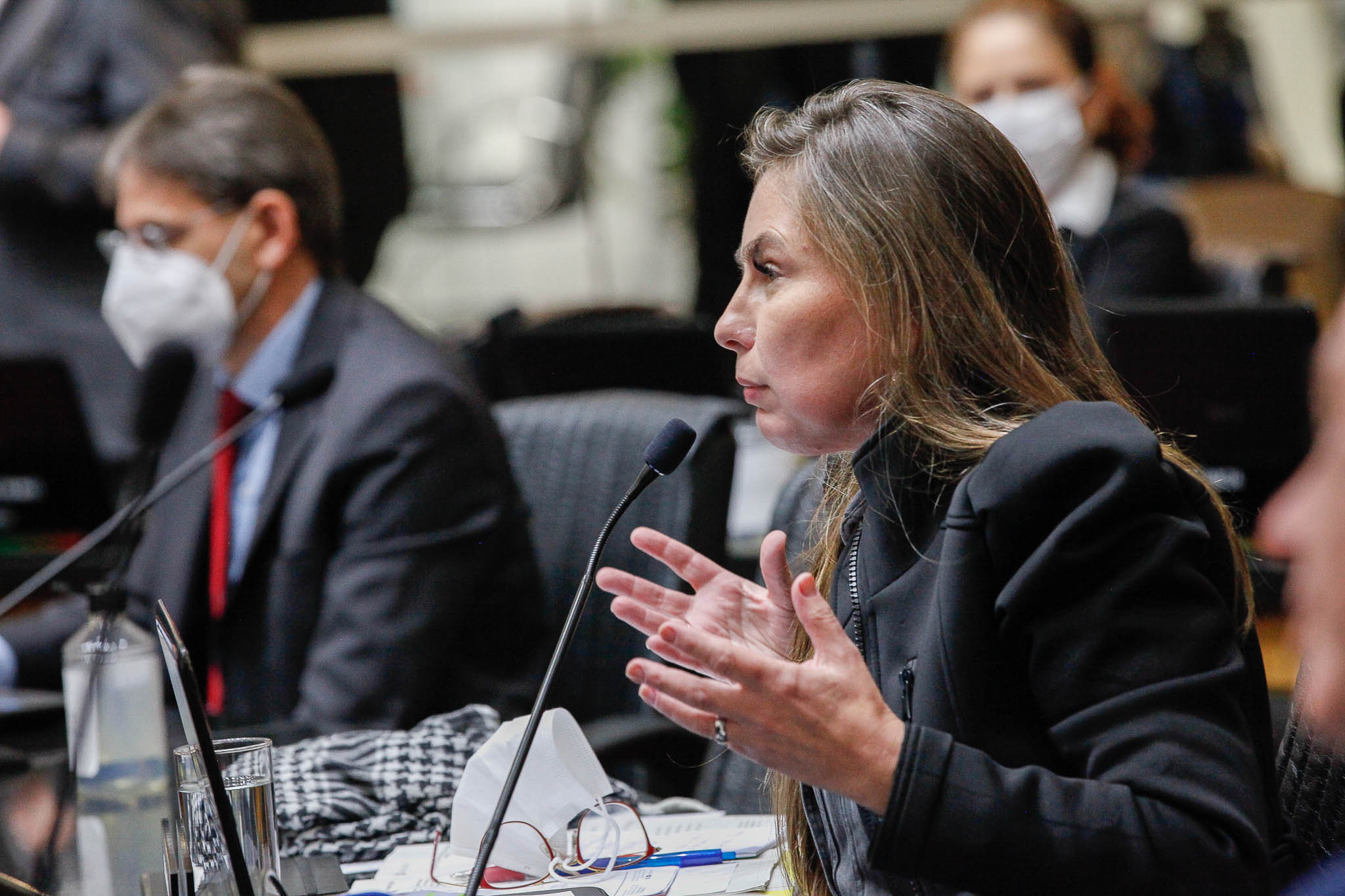 Deputada Ana Paula da Silva (Sem Partido)