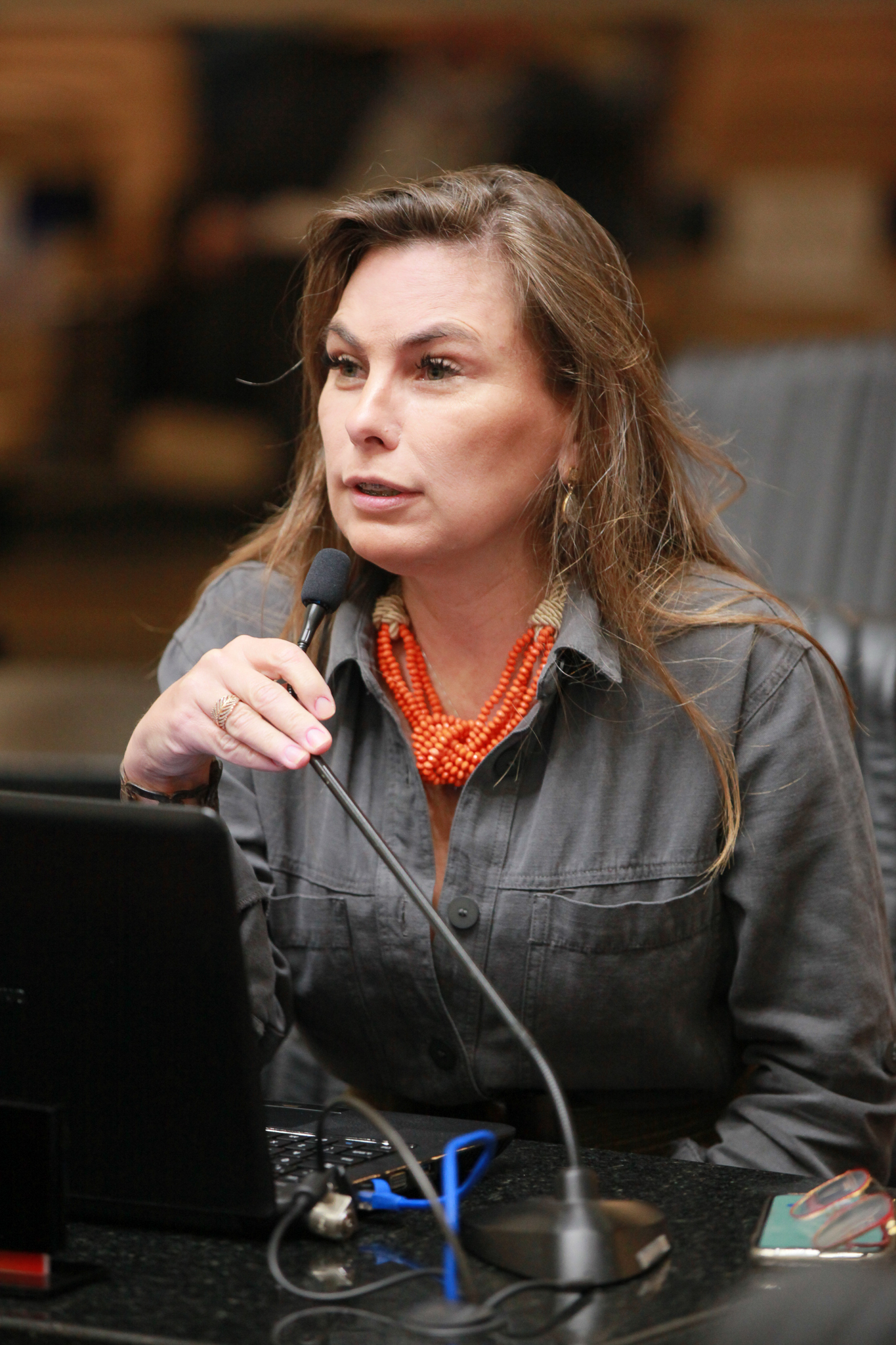 Deputada Ana Paula da Silva