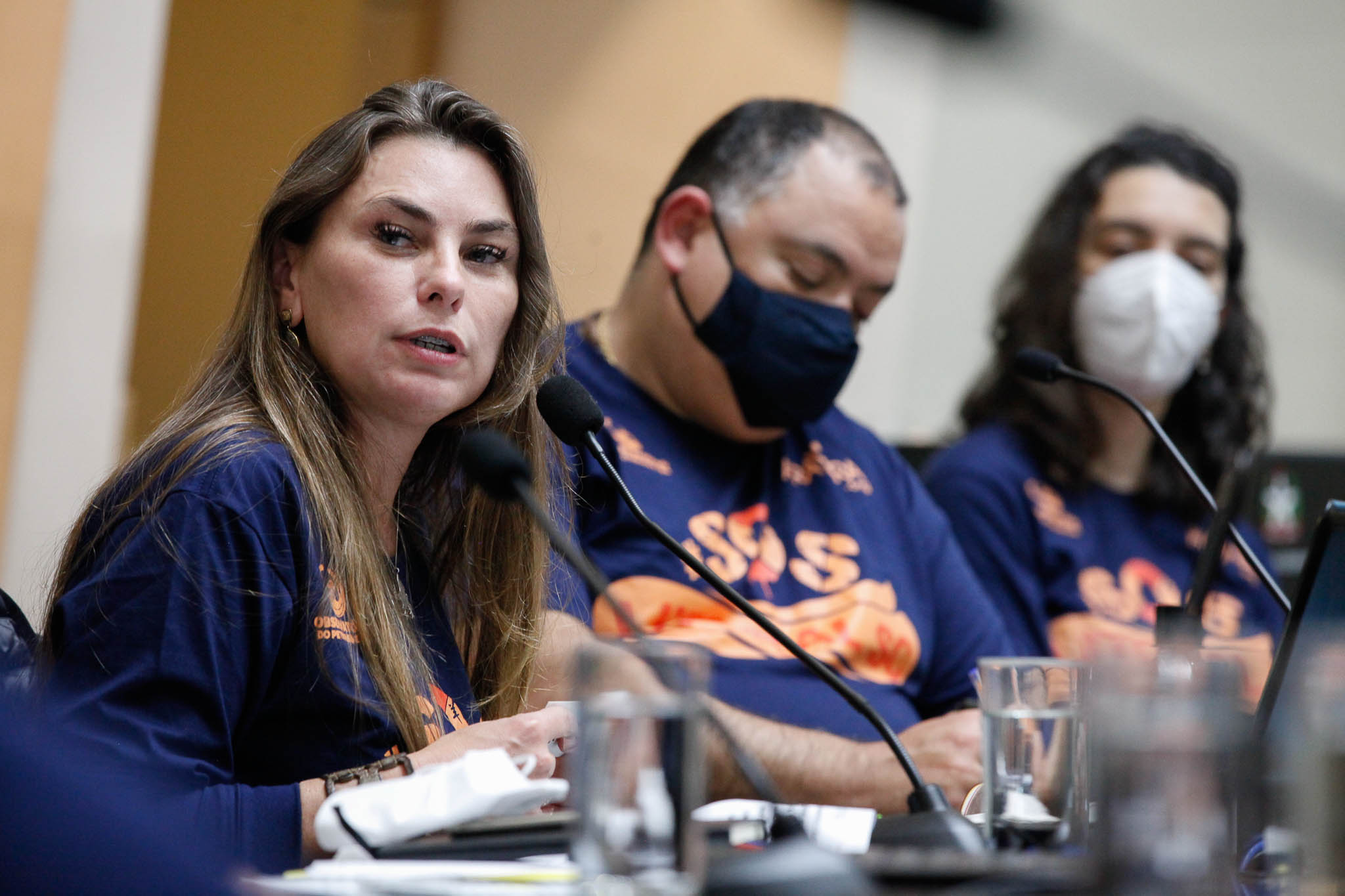 Deputada Ana Paula da Silva (Sem Partido)