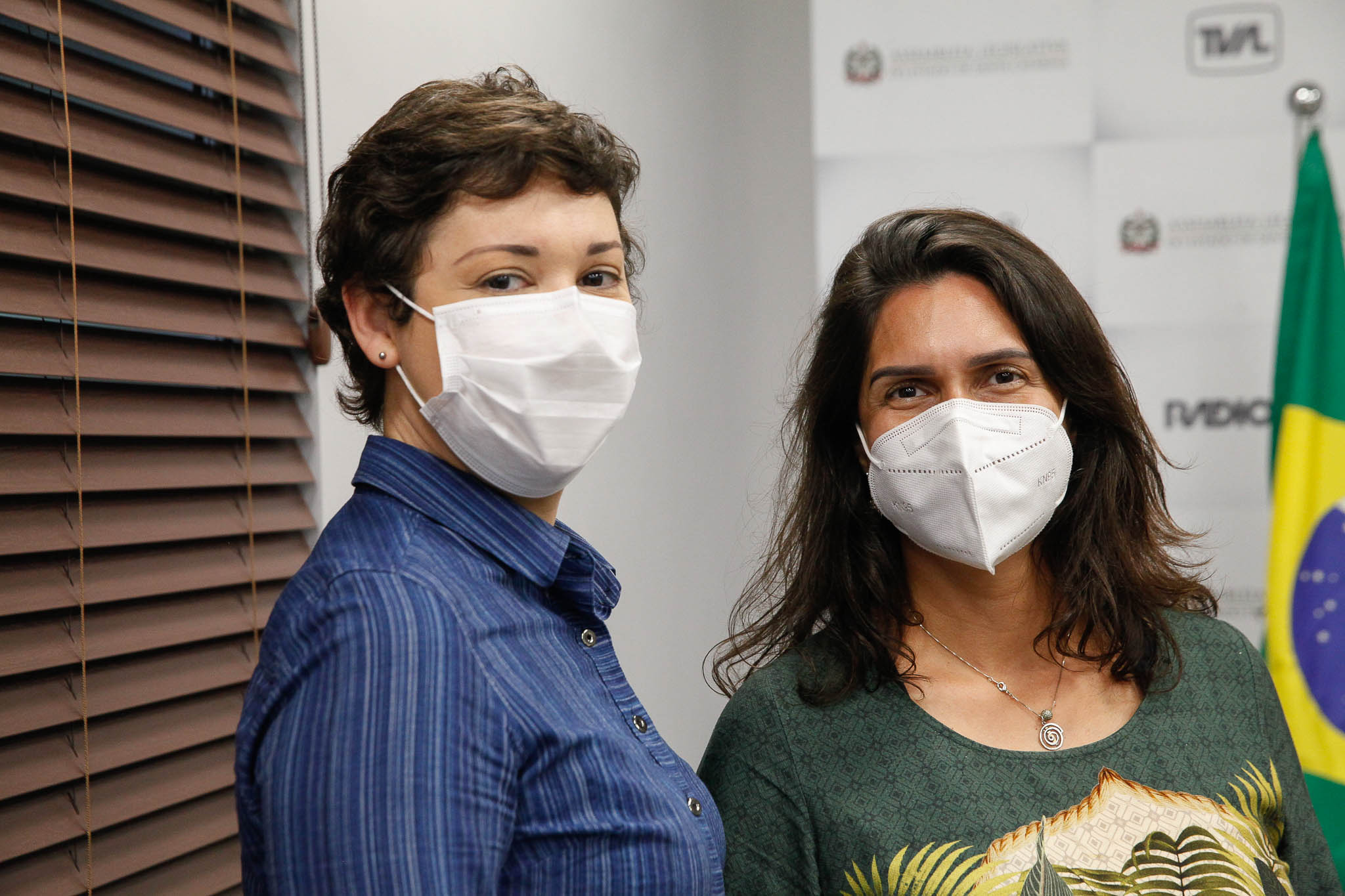 Laura Josani Andrade Correa e Aline Covolo Ravara / Publicação Internacional