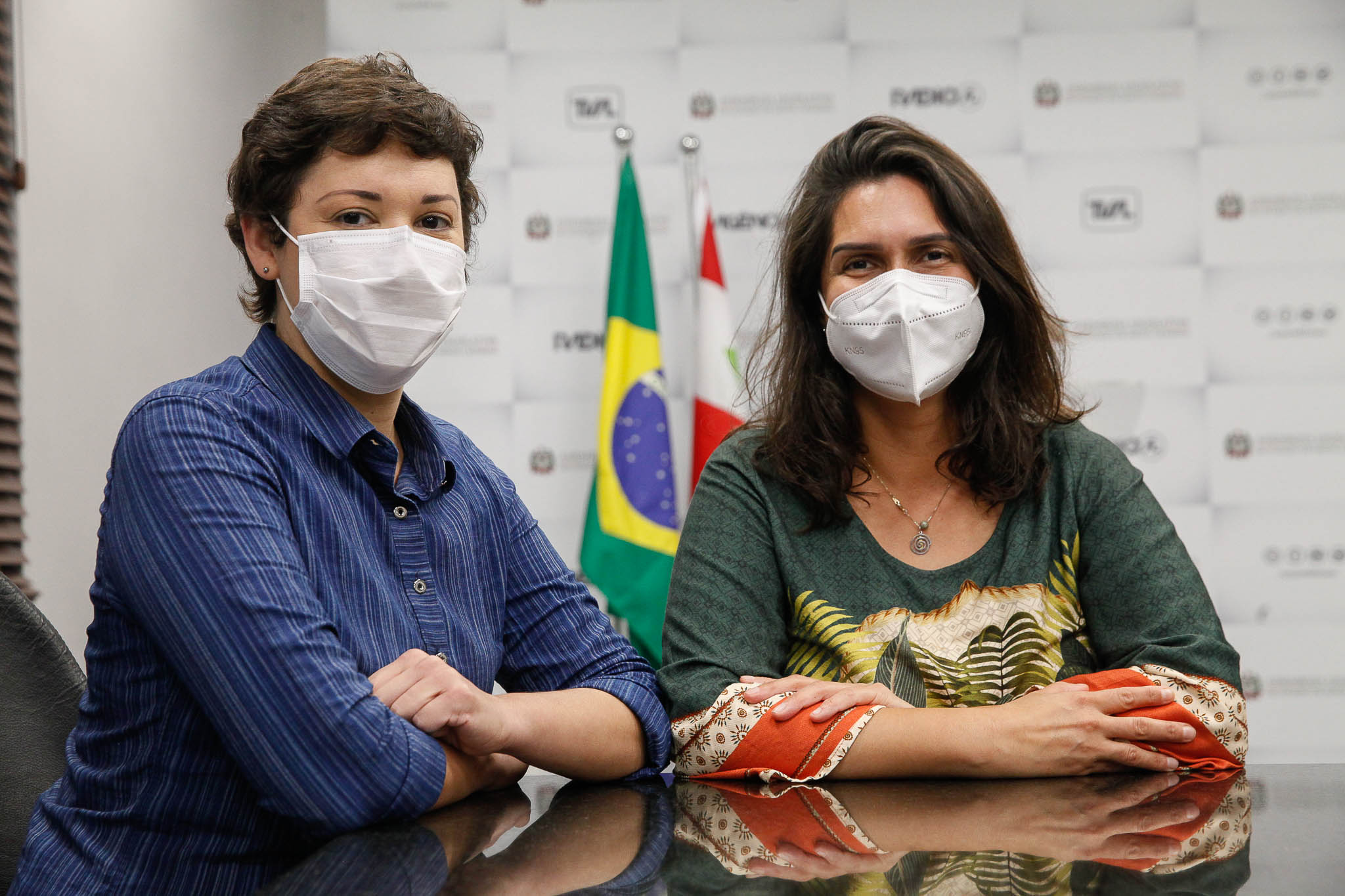 Laura Josani Andrade Correa e Aline Covolo Ravara / Publicação Internacional