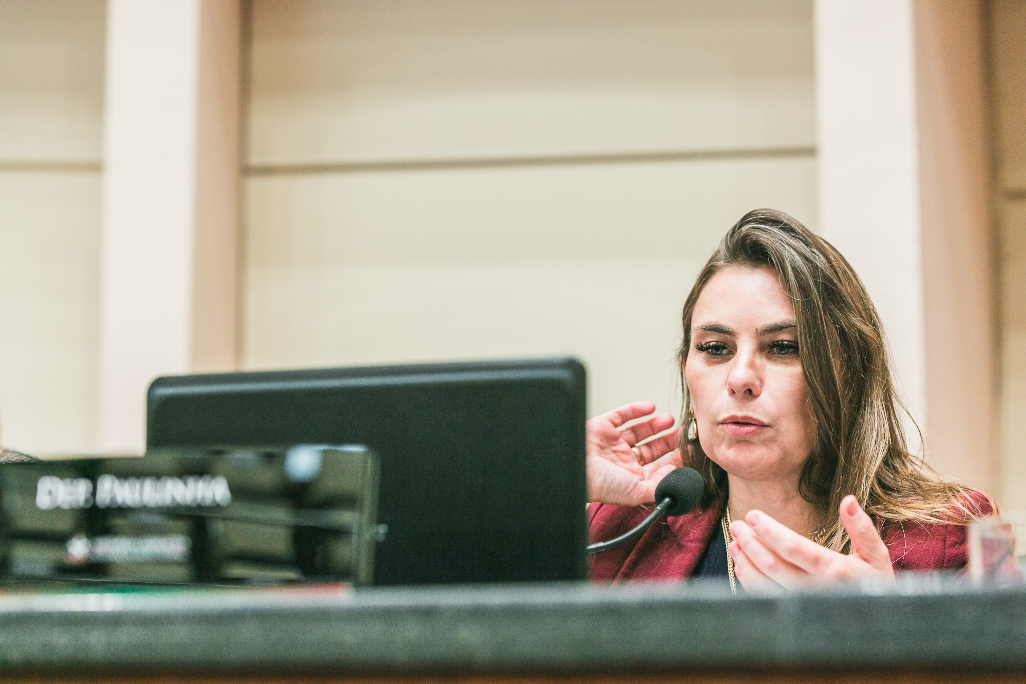 Deputada Ana Paula da Silva (Sem Partido)