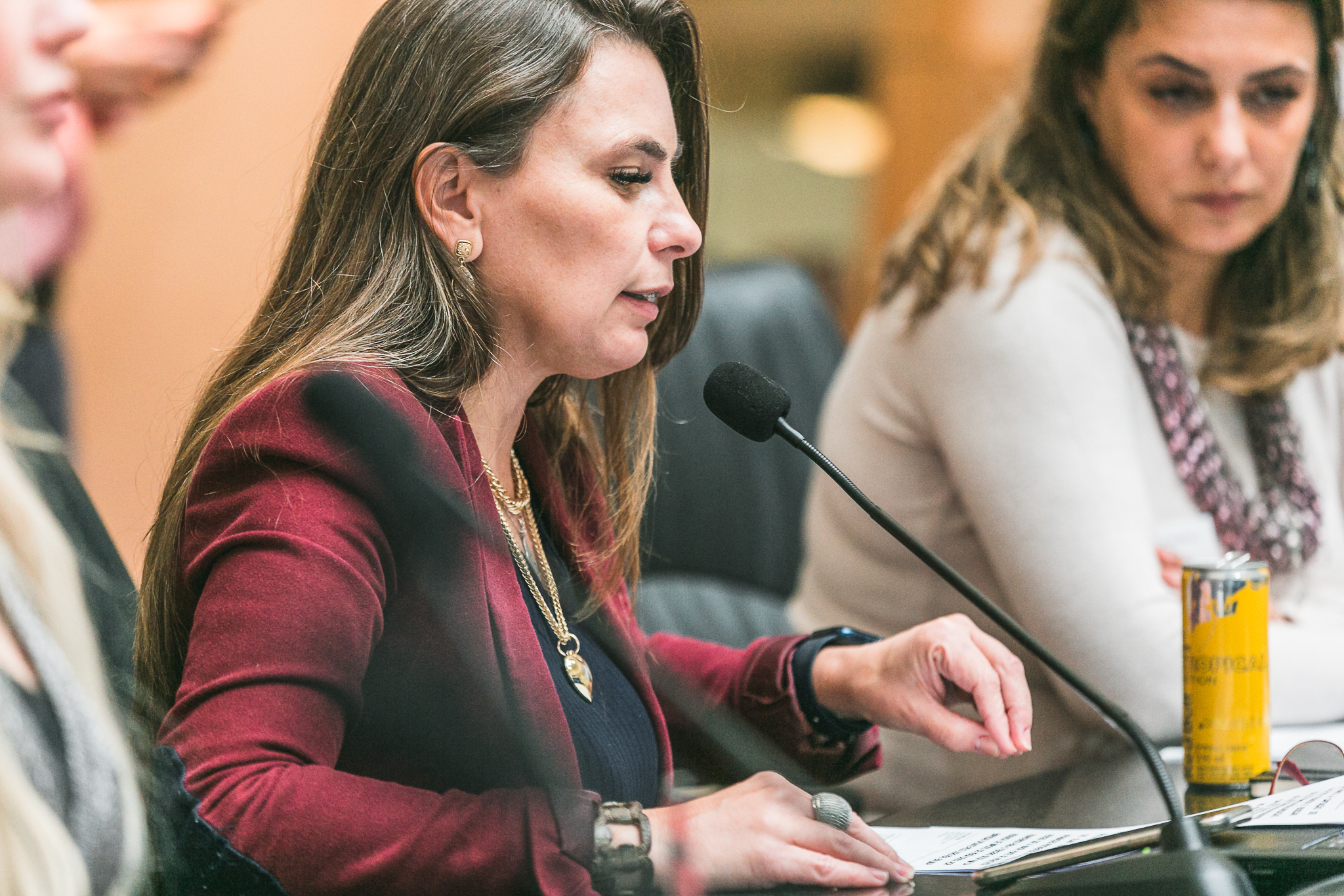 Deputada Ana Paula da Silva (Sem Partido)