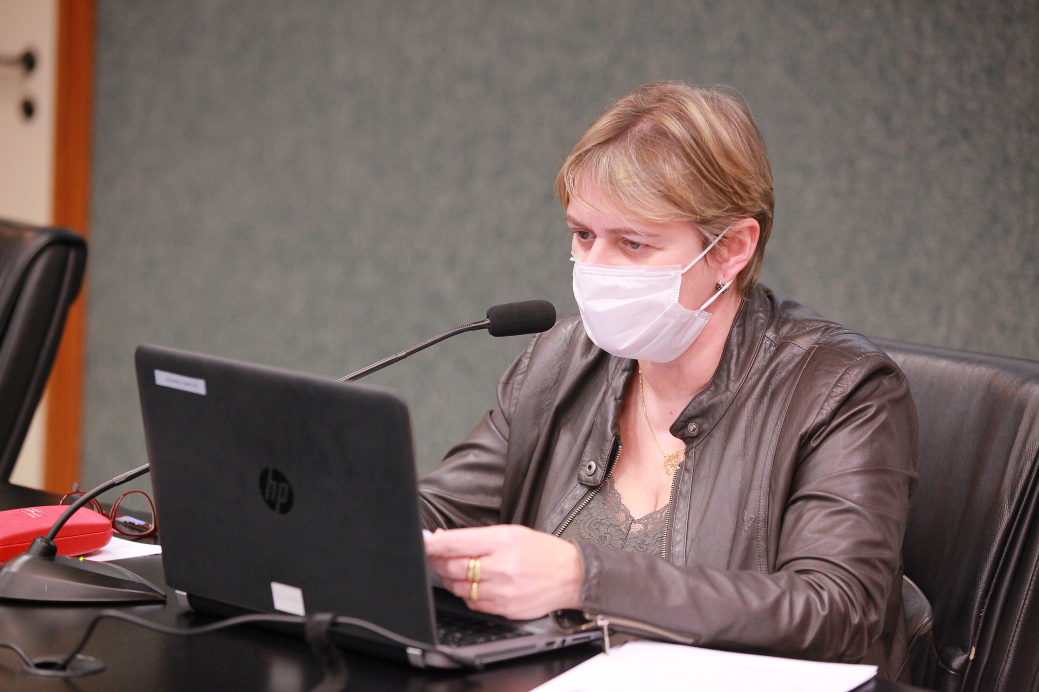 Deputada Luciane Carminatti (PT)