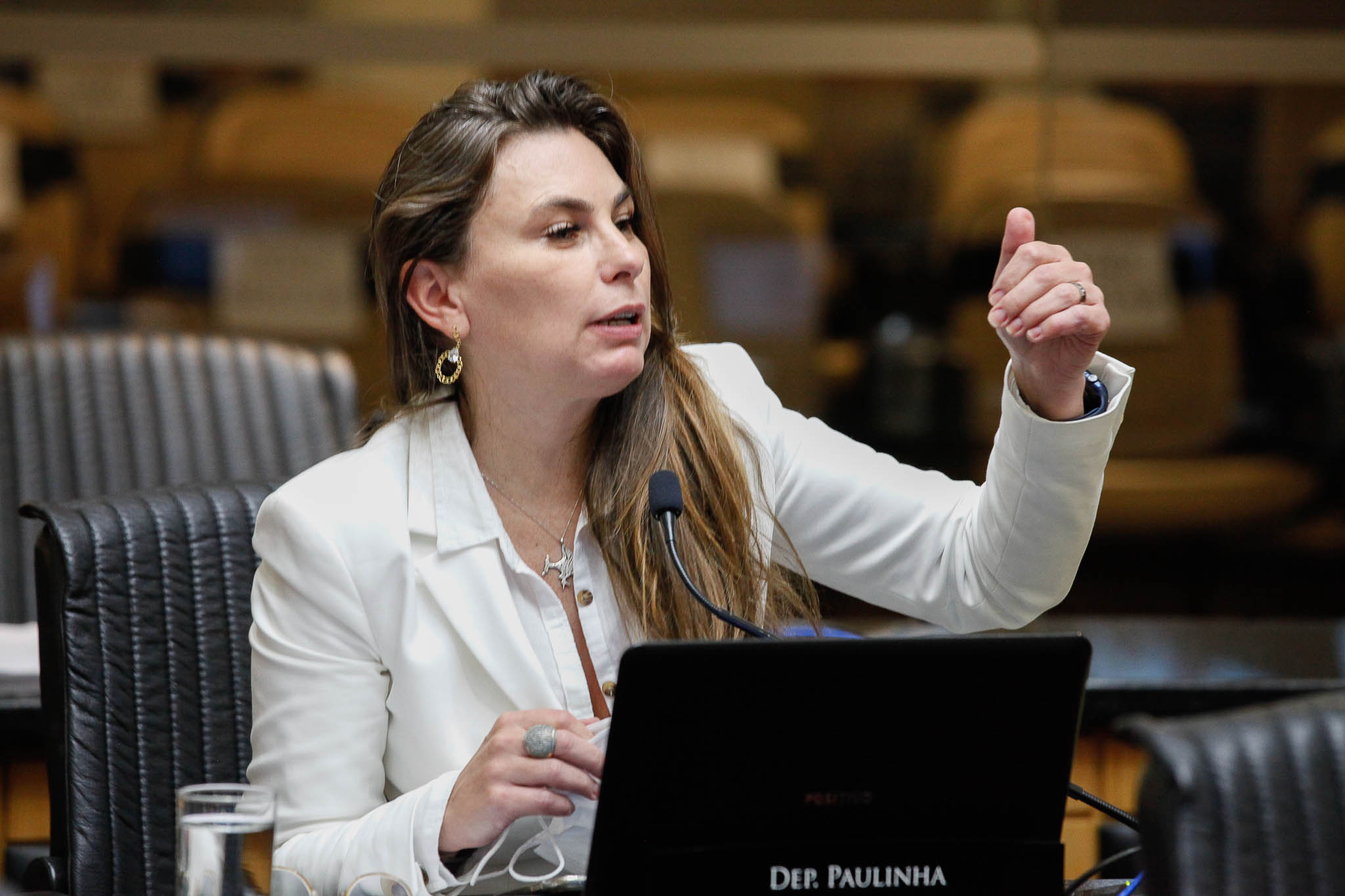 Deputada Ana Paula da Silva (Sem Partido)