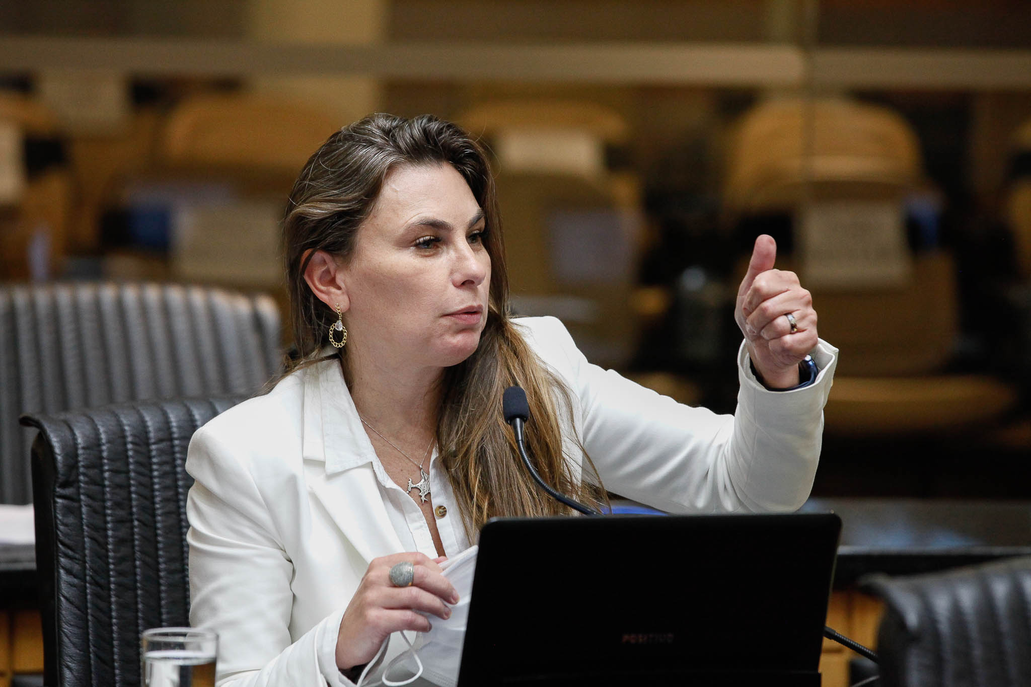 Deputada Ana Paula da Silva (Sem Partido)