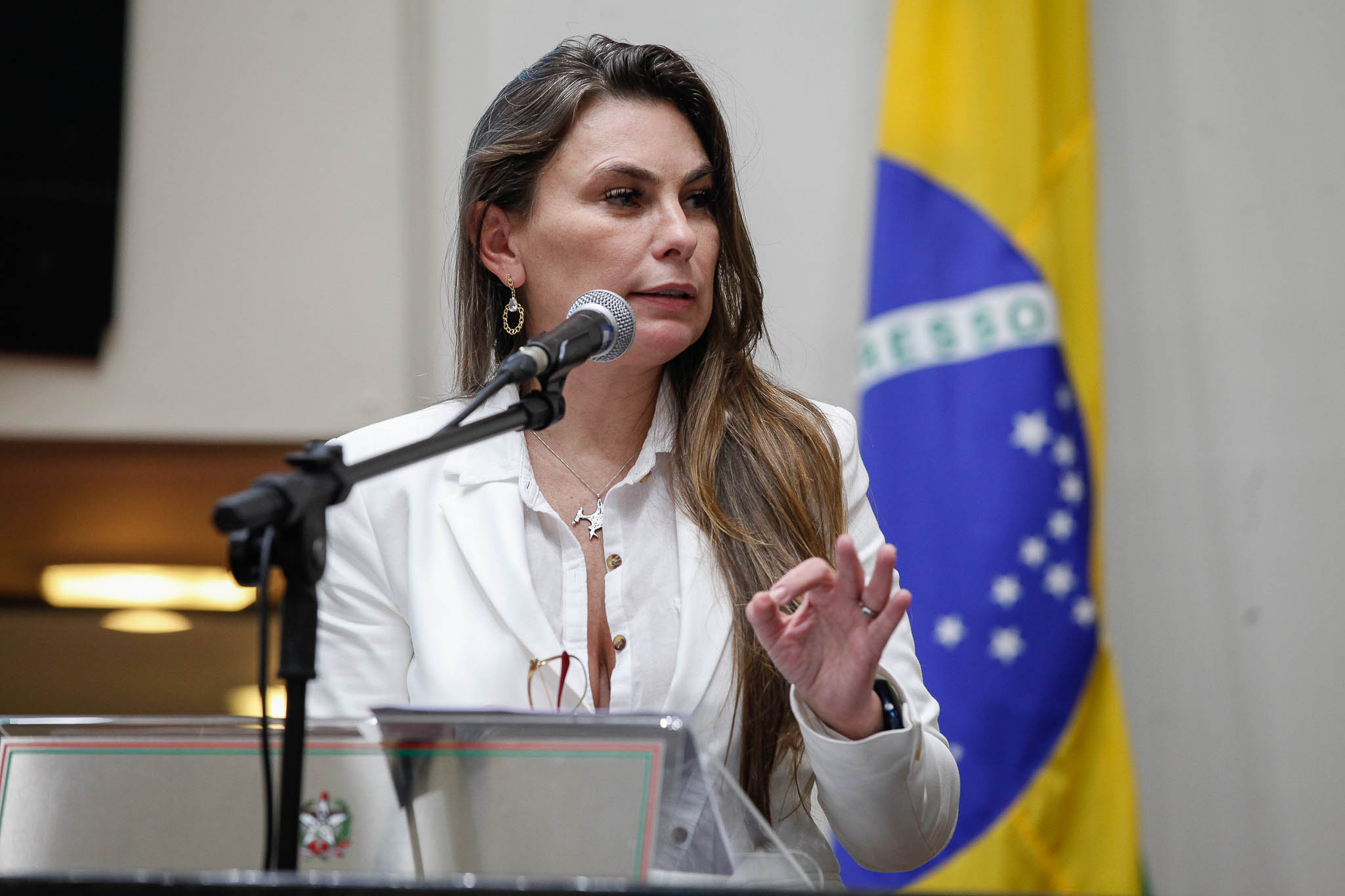 Deputada Ana Paula da Silva (Sem Partido)