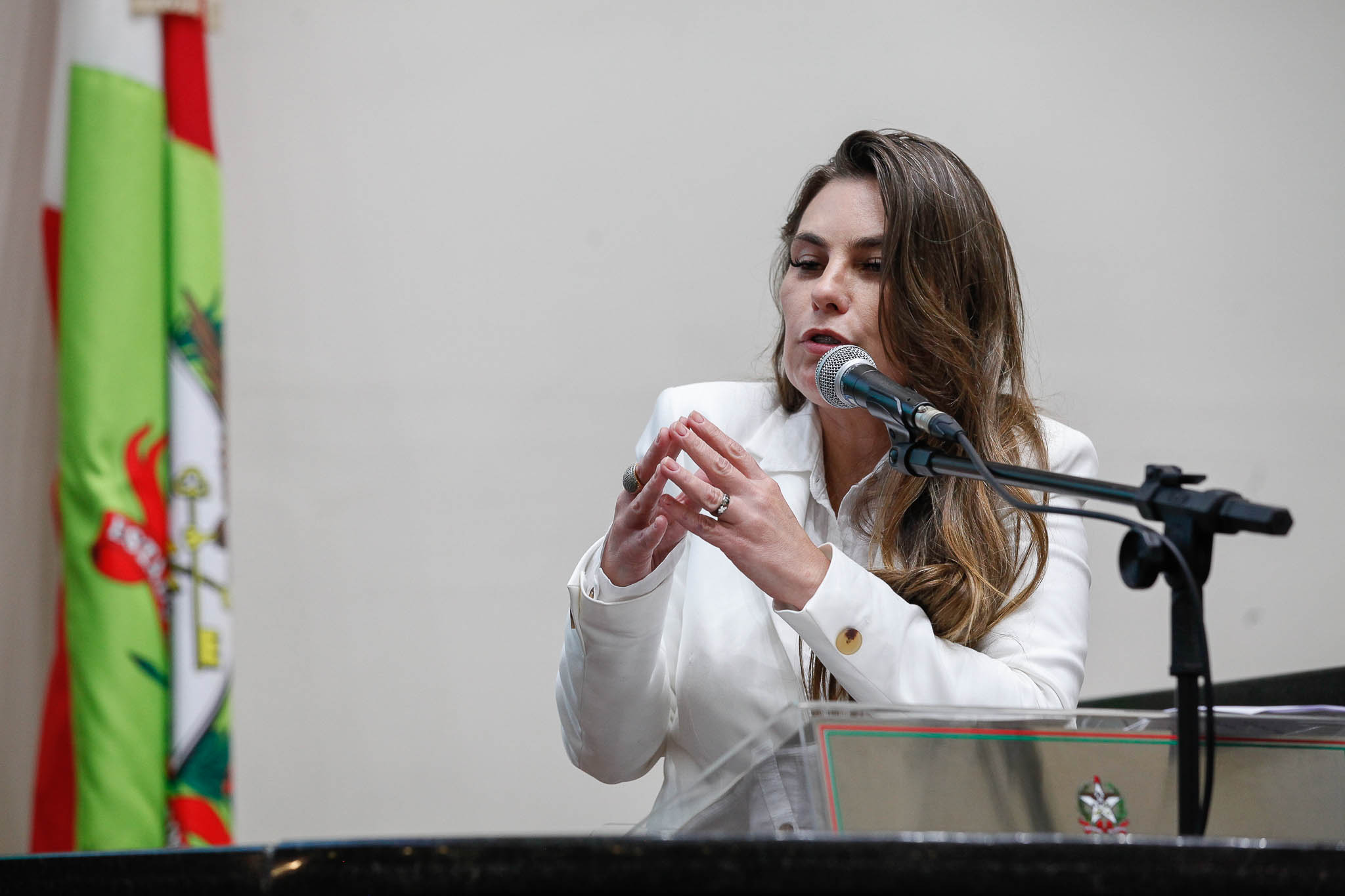 Deputada Ana Paula da Silva (Sem Partido)