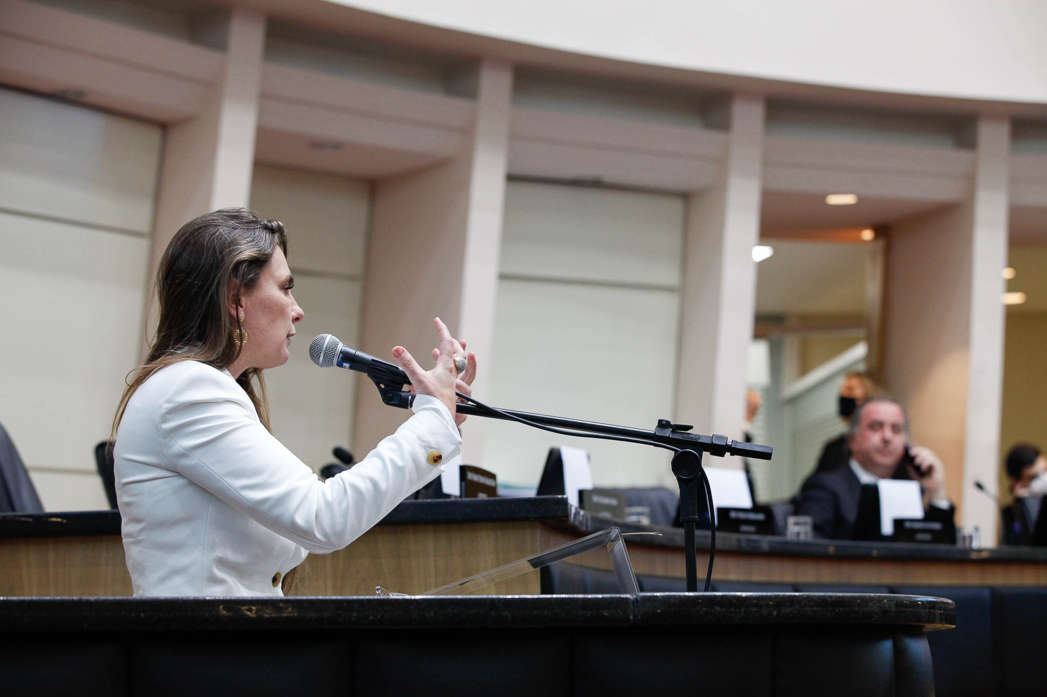 Deputada Ana Paula da Silva (Sem Partido)