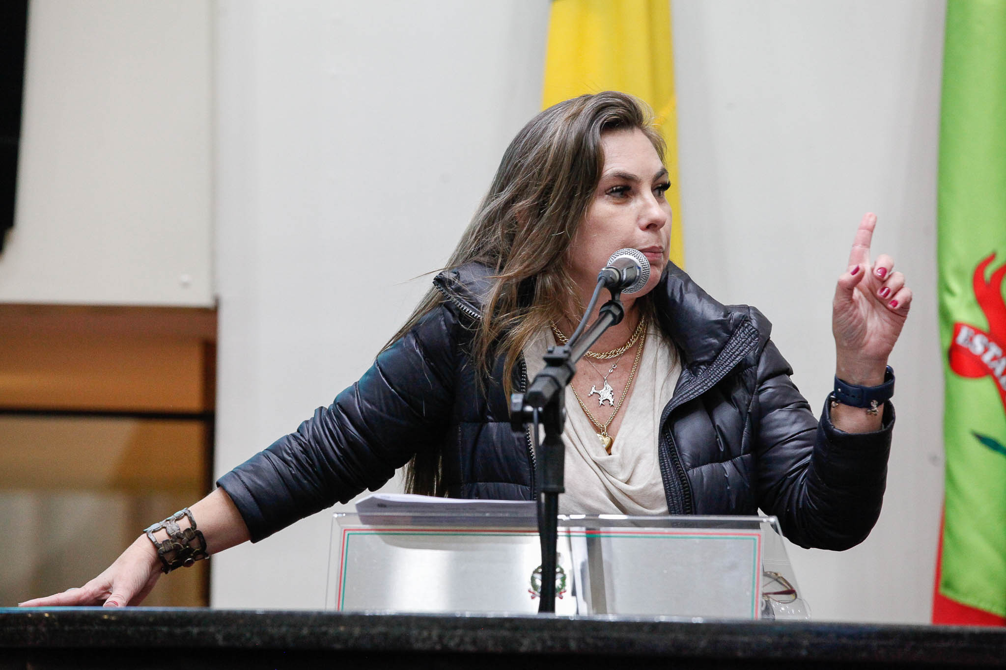 Deputada Ana Paula da Silva (Sem Partido)