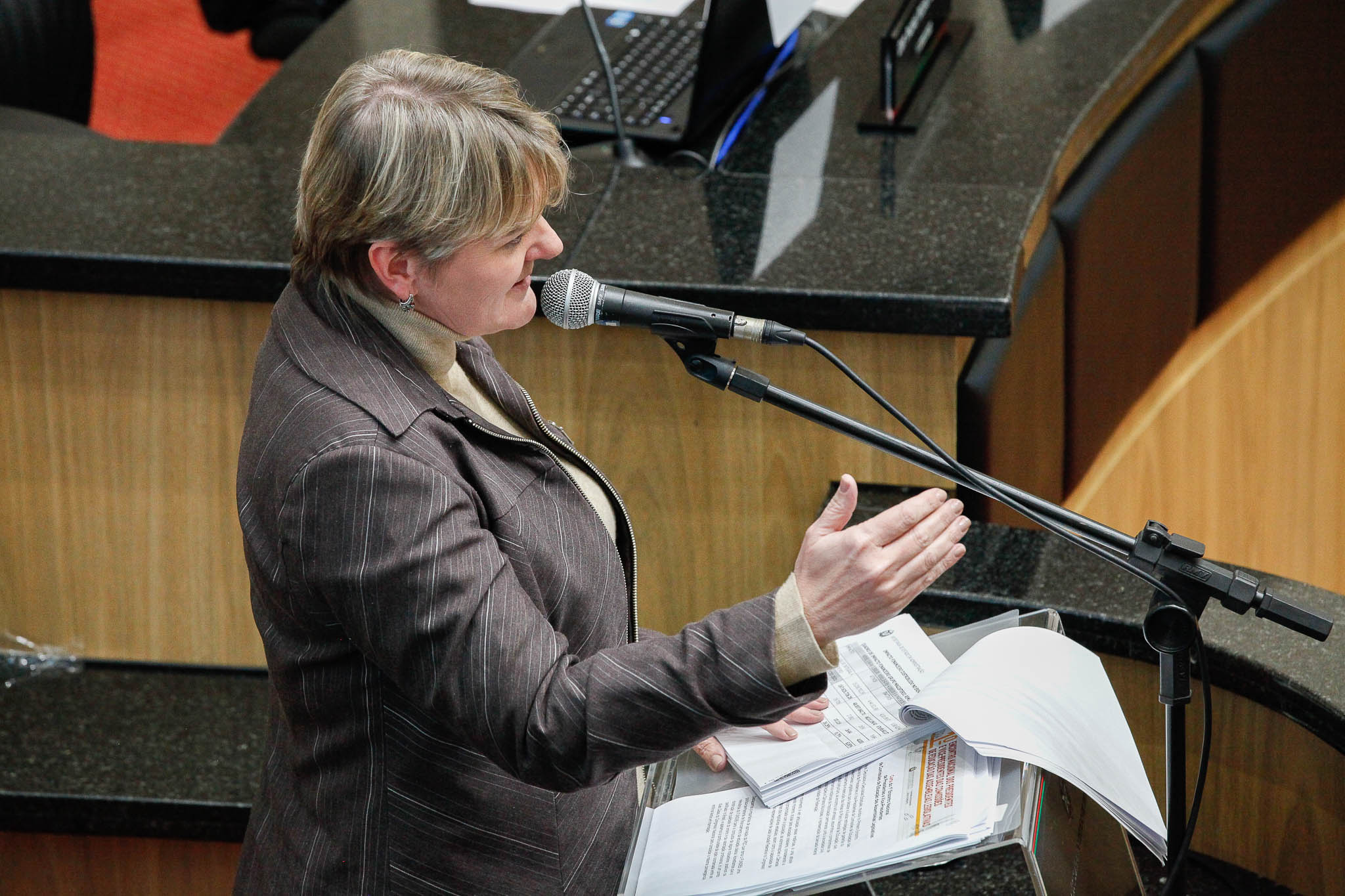Deputada Luciane Carminatti (PT)