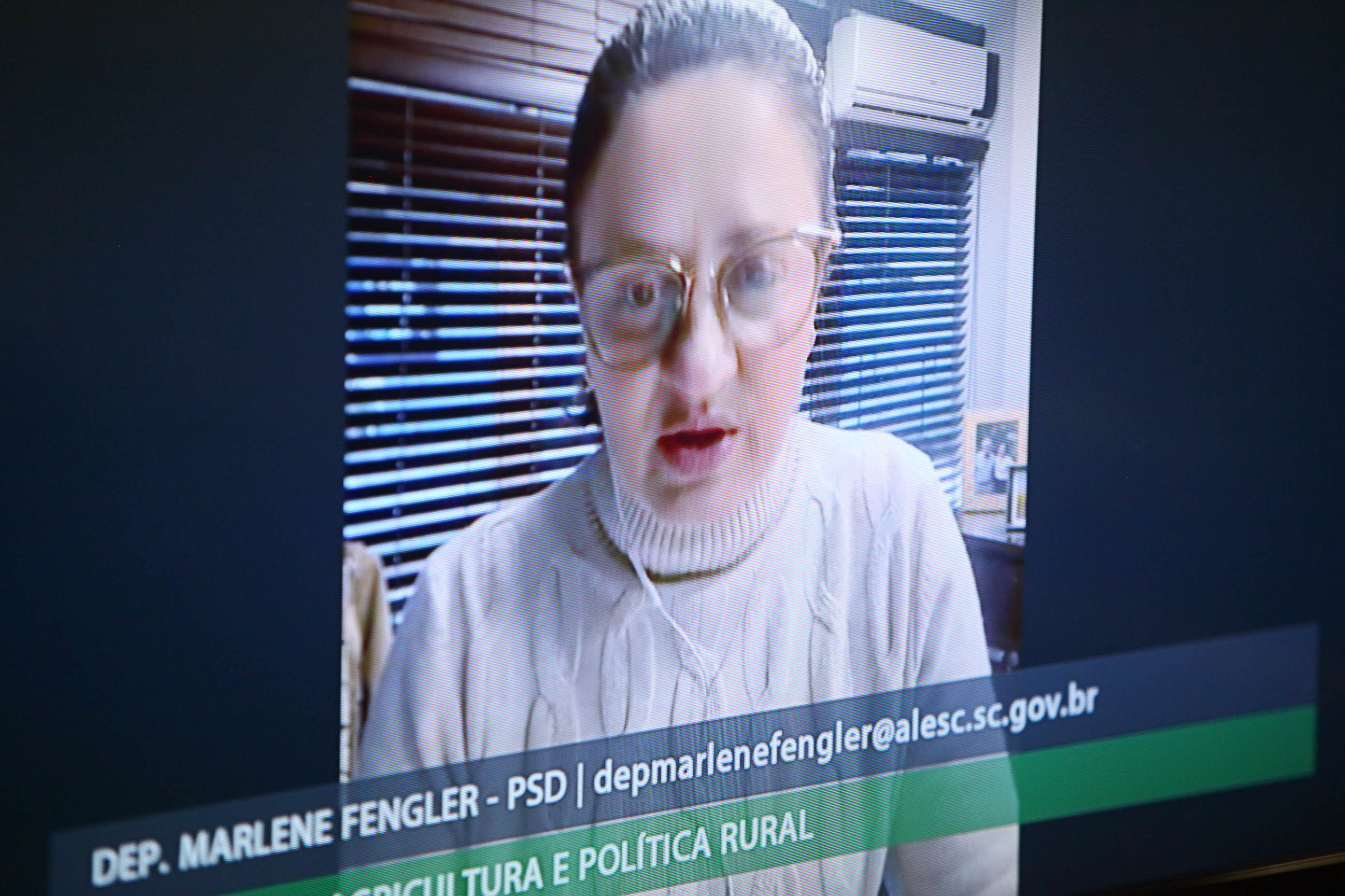 Comissão de Agricultura e Política Rural - Deputada Marlene Fengler (PSD)