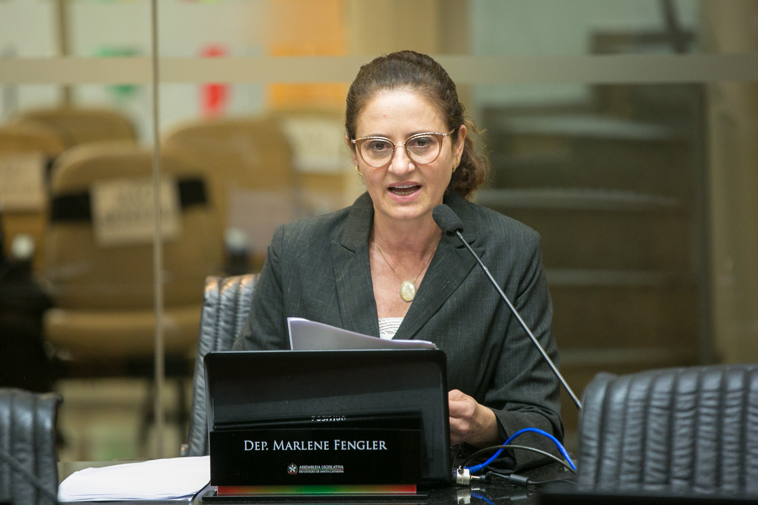 Deputada Marlene Fengler (PSD)