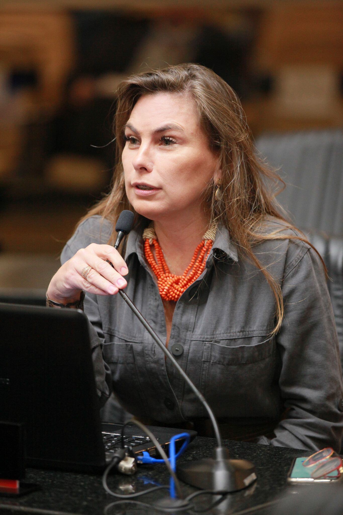 Deputada Paulinha.
