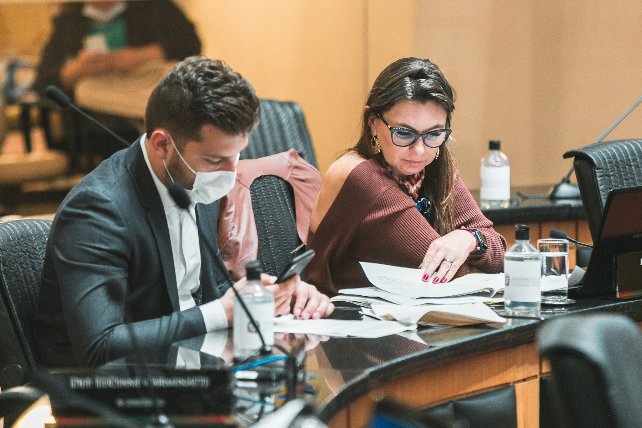 Deputada Ana Paula da Silva (Sem Partido)