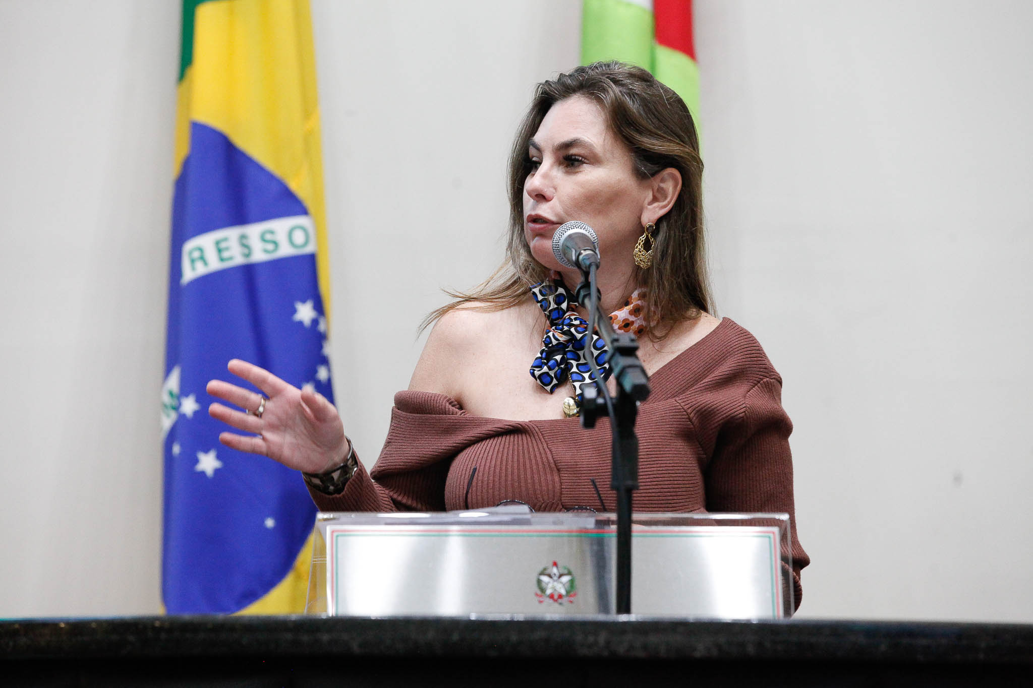 Deputada Ana Paula da Silva (Sem Partido)