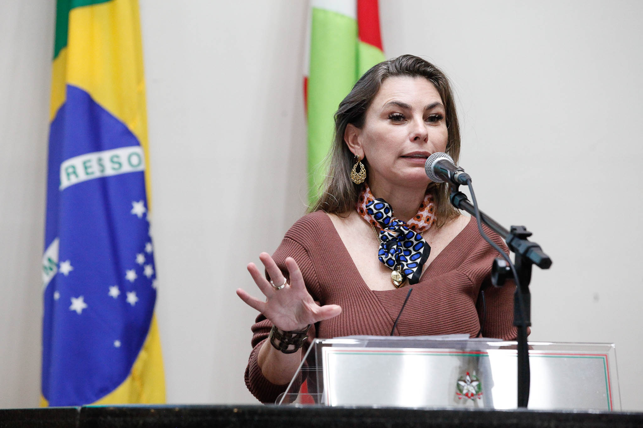 Deputada Ana Paula da Silva (Sem Partido)