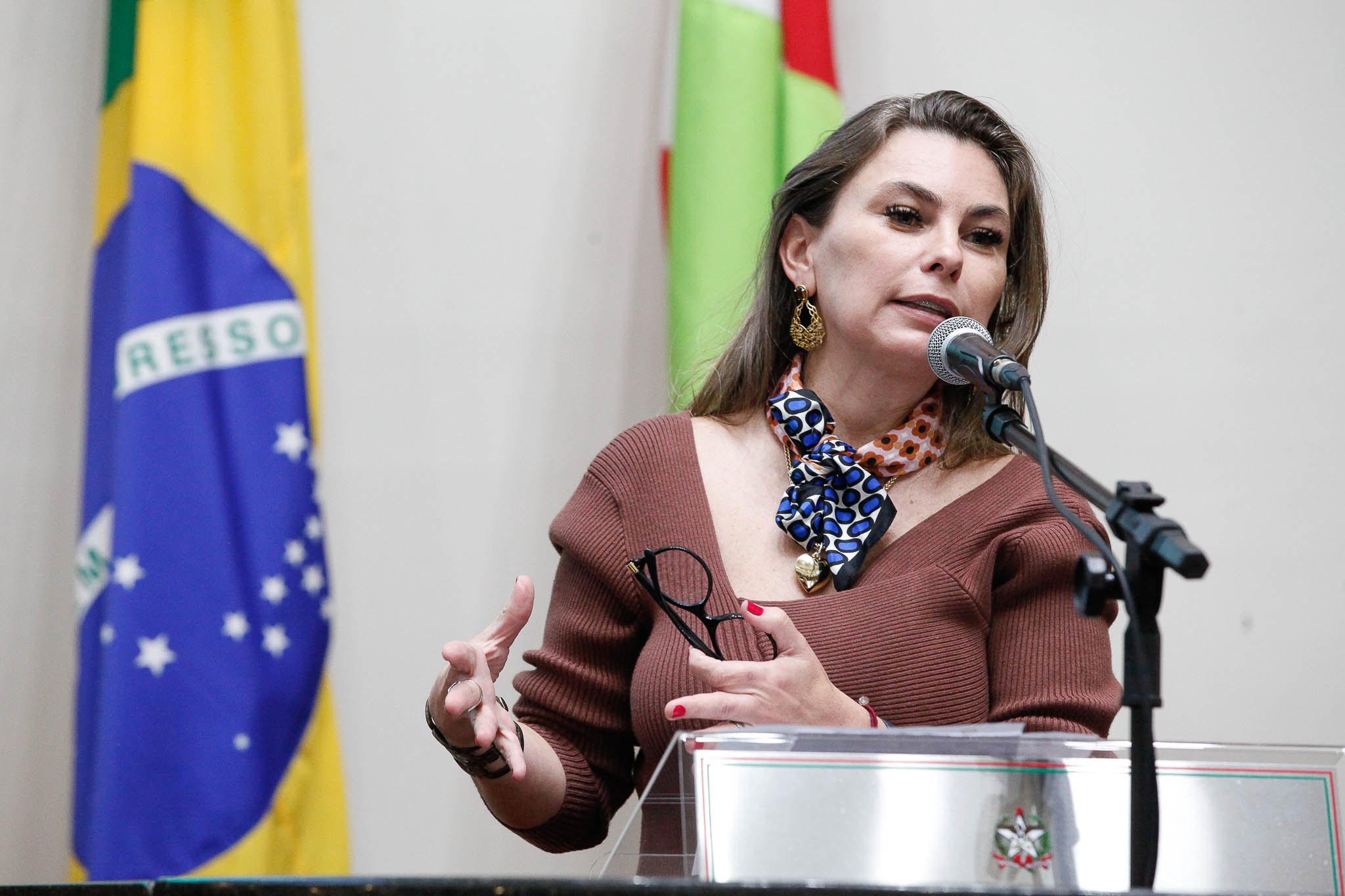 Deputada Ana Paula da Silva (Sem Partido)