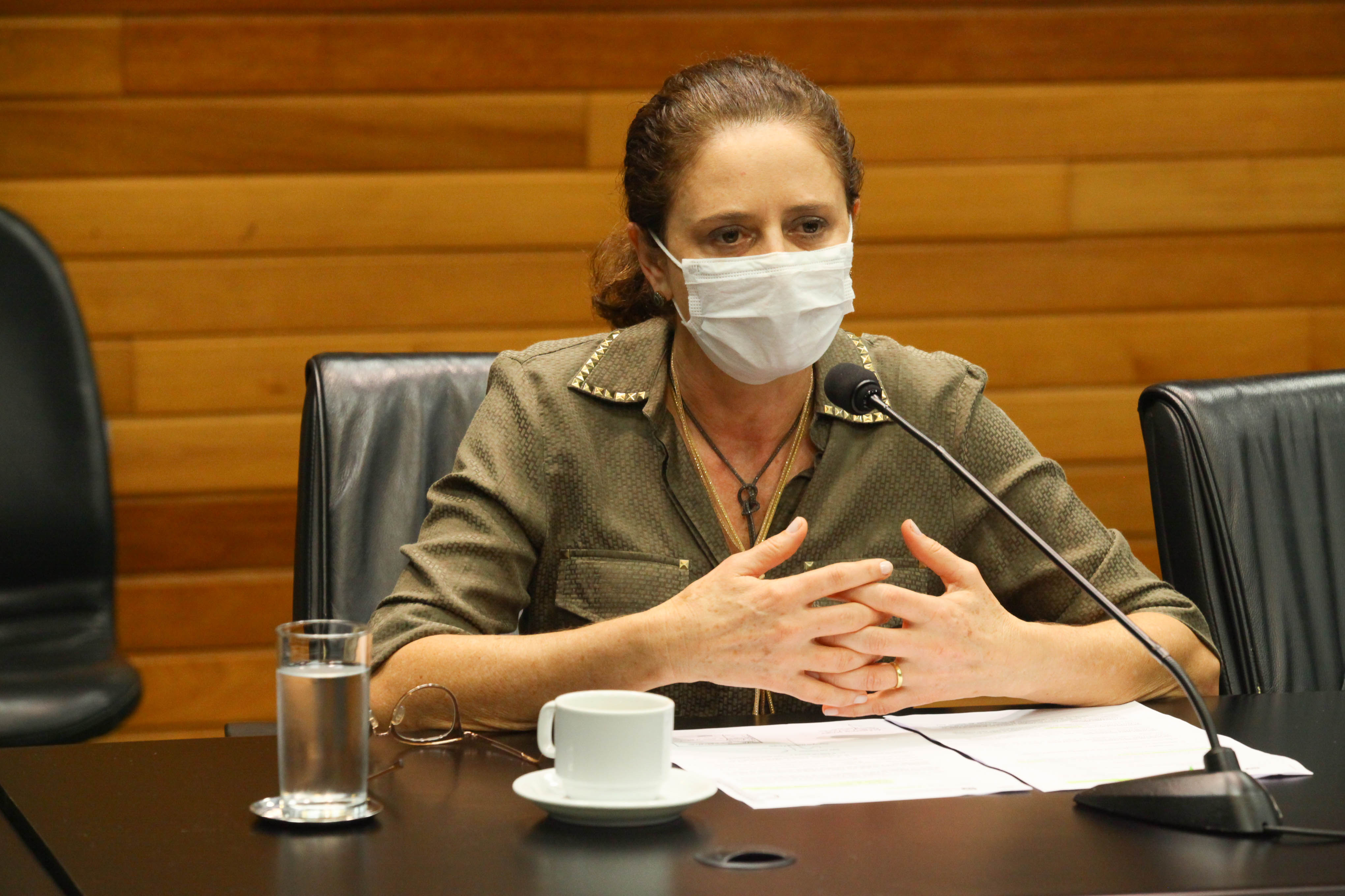 Comissão de Defesa dos Direitos da Pessoa com Deficiência - Deputada Marlene Fengler (PSD)