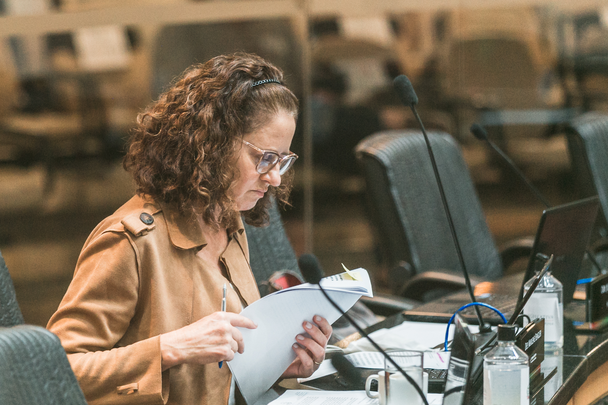 Deputada Marlene Fengler (PSD)