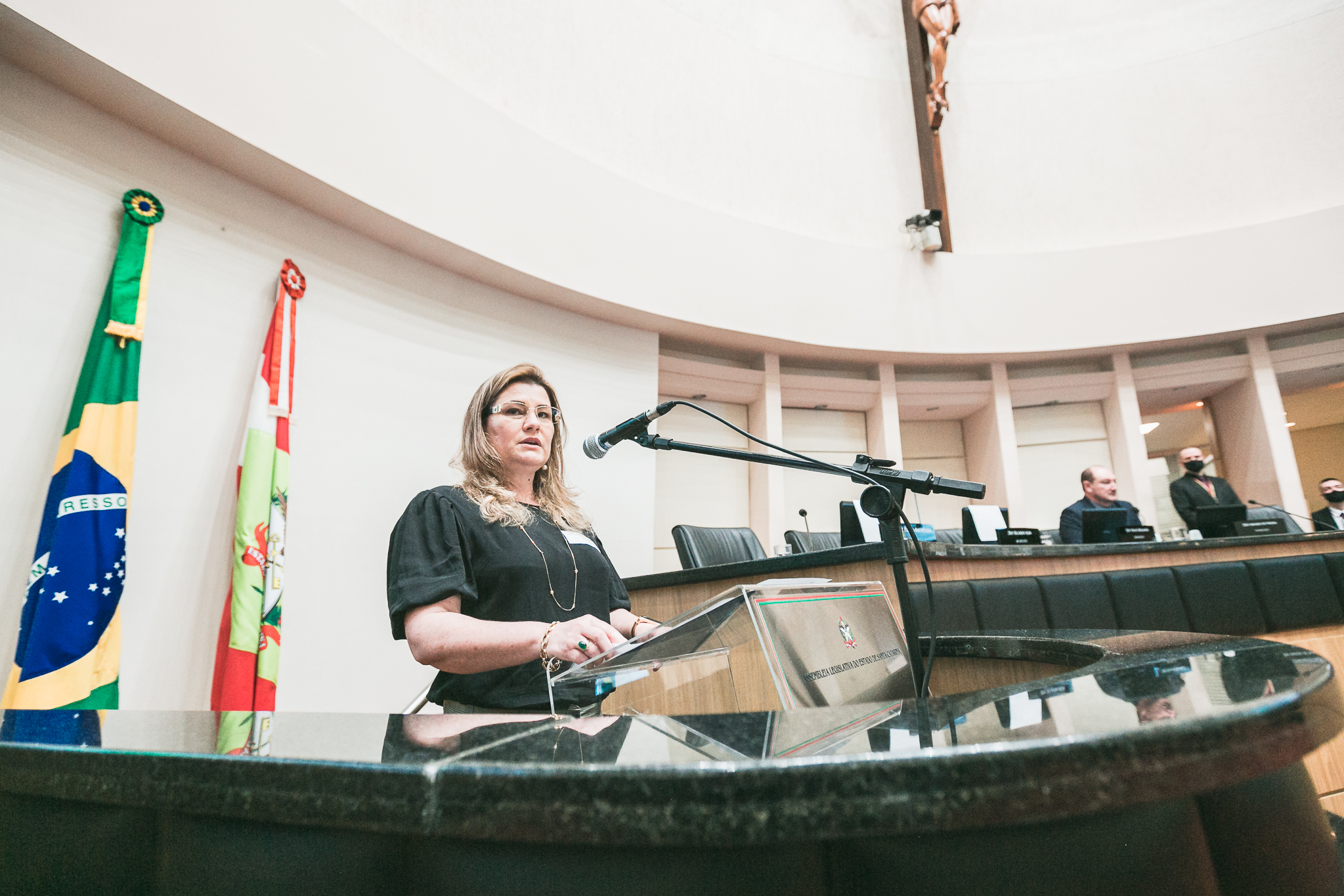 Síntia Regina Bonatti Reif, presidente do CRP-SC