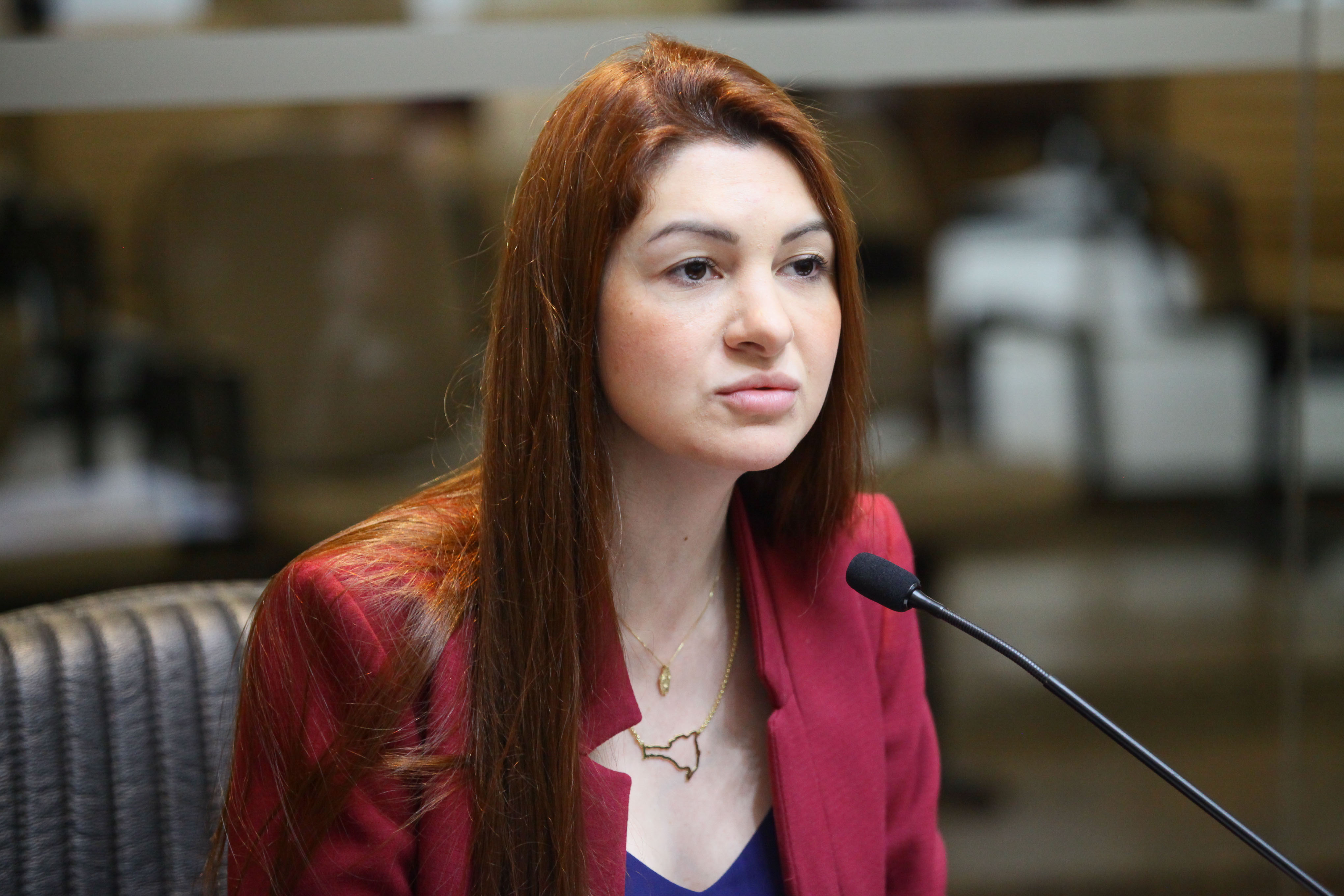 Comissão de Constituição e Justiça - Deputada Ana Caroline Campagnolo (PSL)
