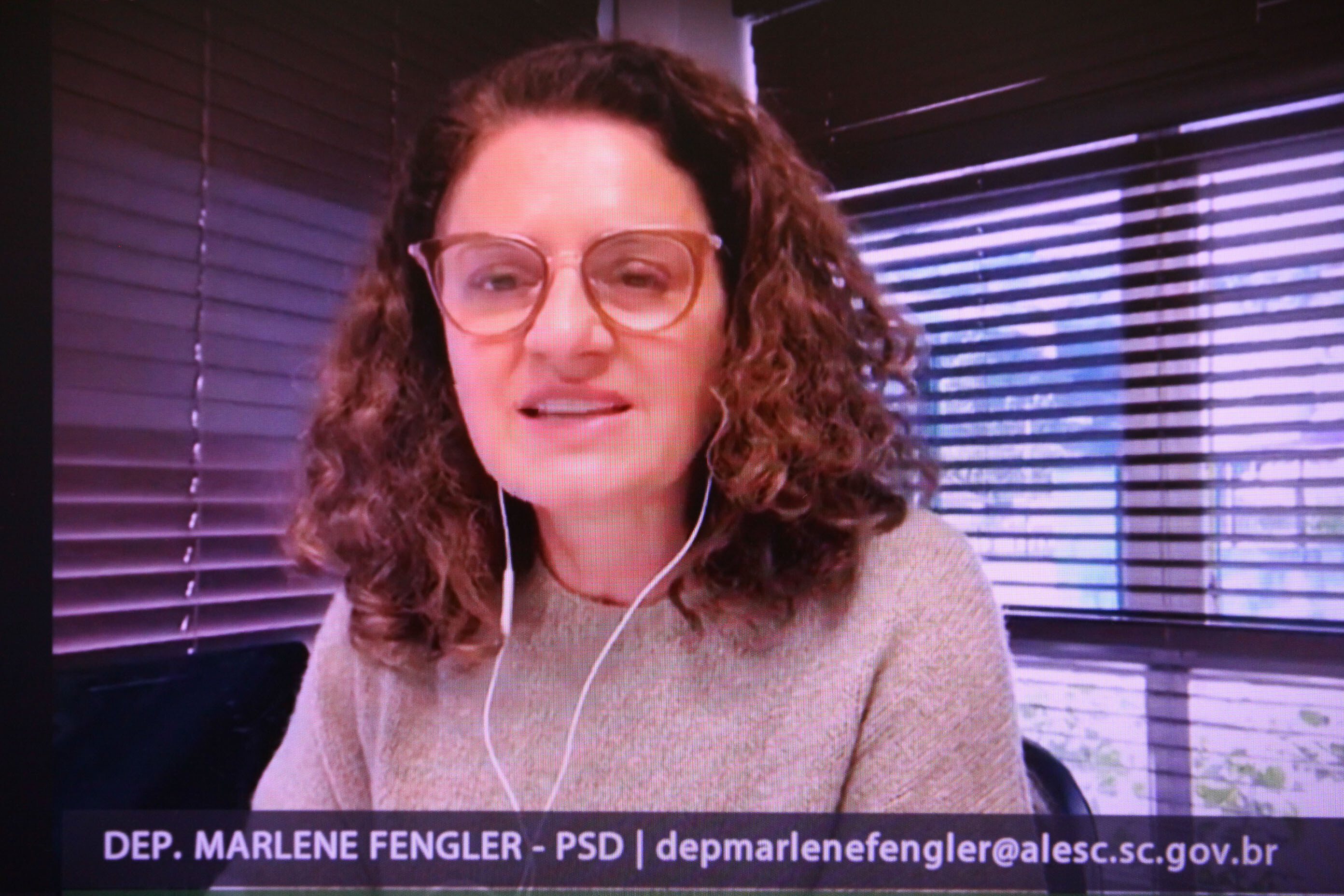 Deputada Marlene Fengler.
