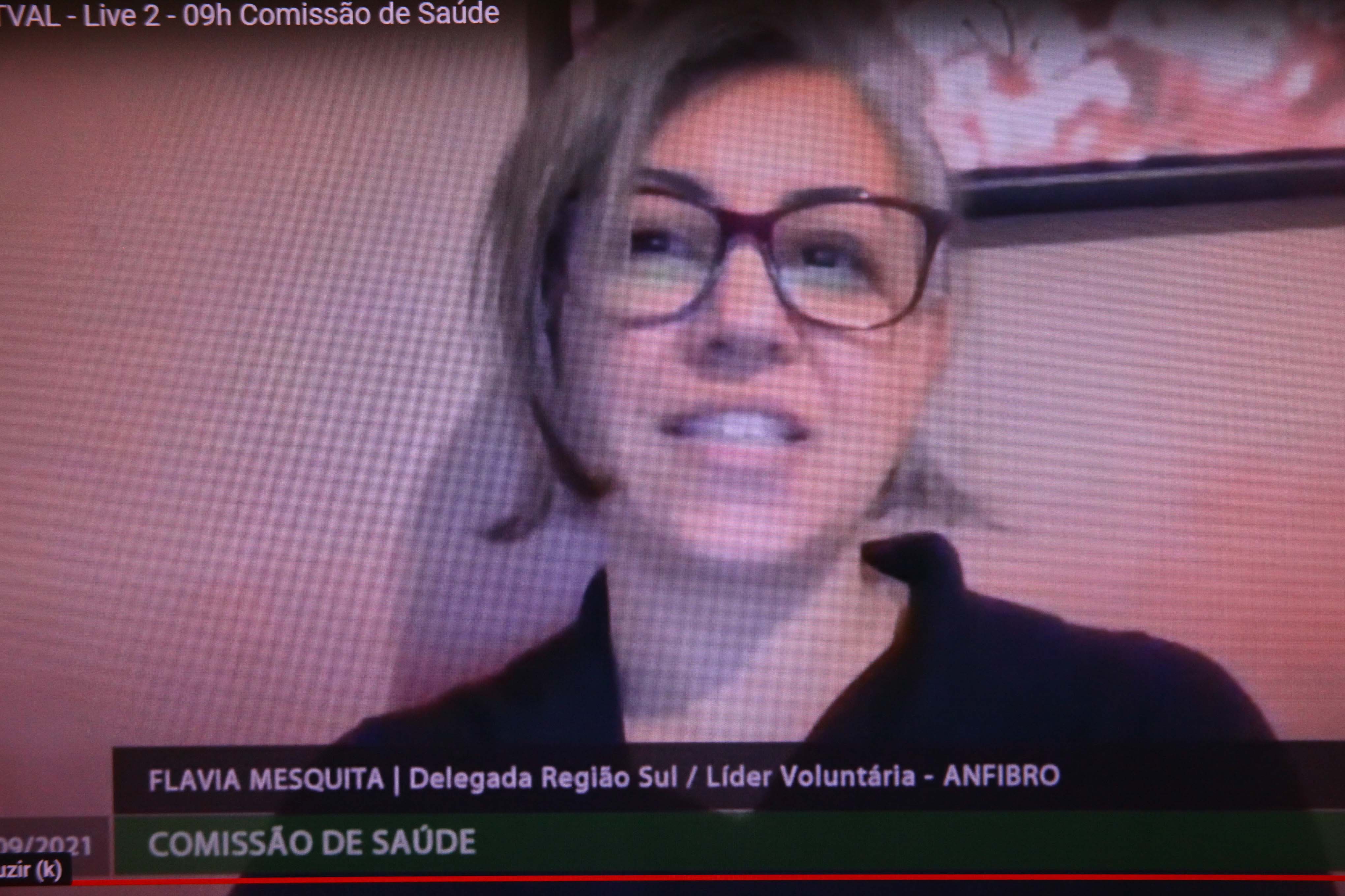 Comissão de Saúde - FláviaMesquita