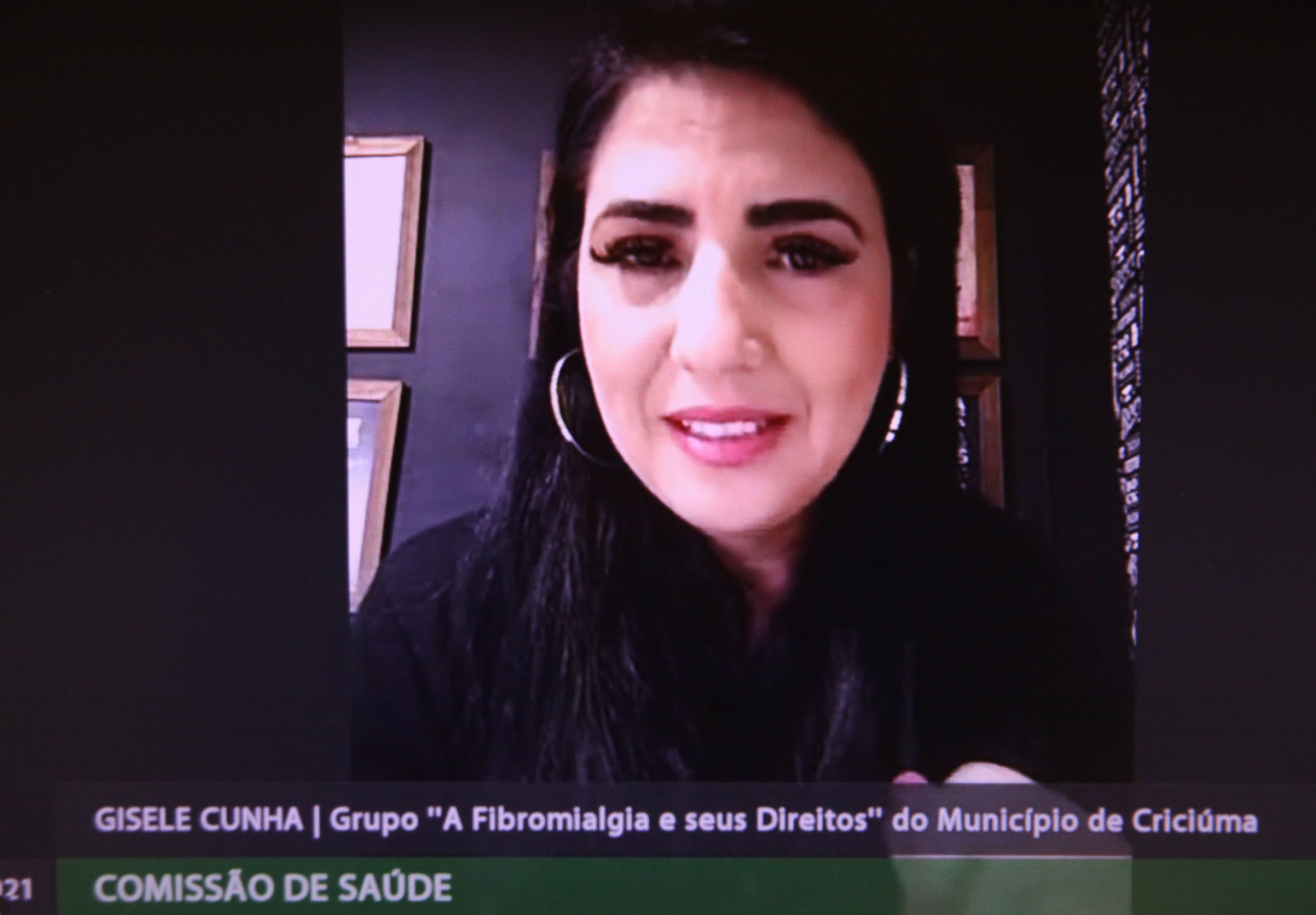 Comissão de Saúde - Gisele Cunha