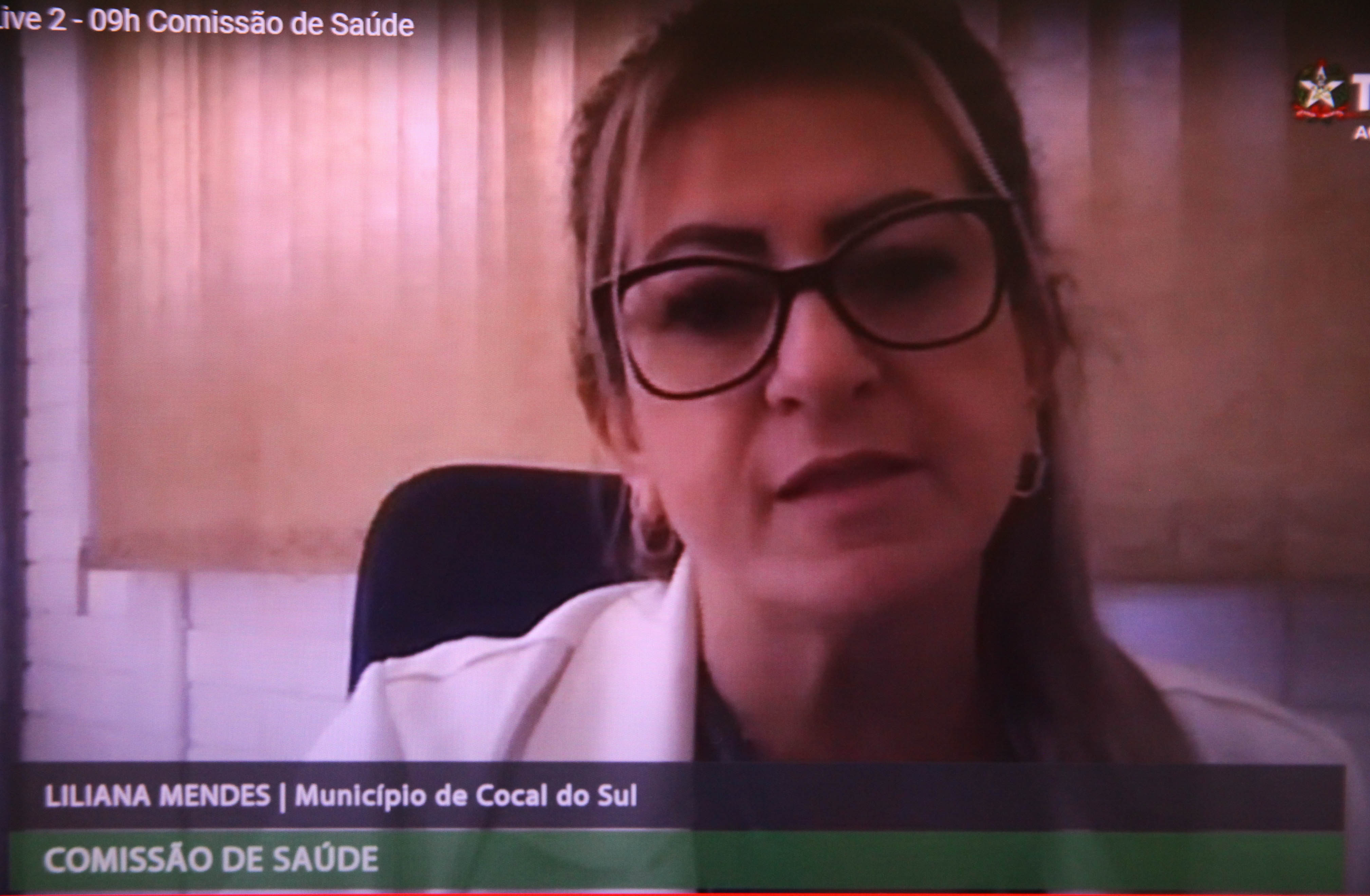 Comissão de Saúde - Liliana Mendes