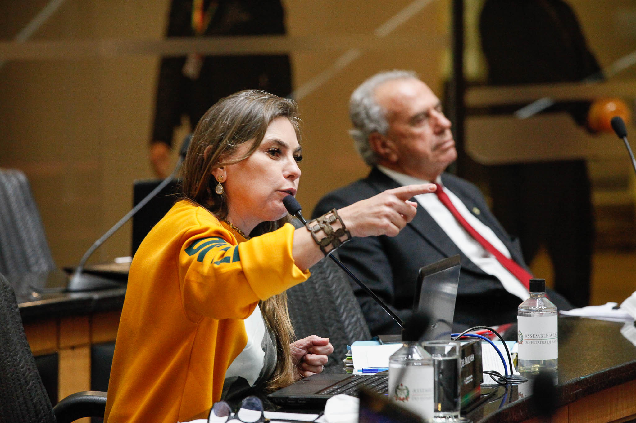 Deputada Ana Paula da Silva (Sem Partido)