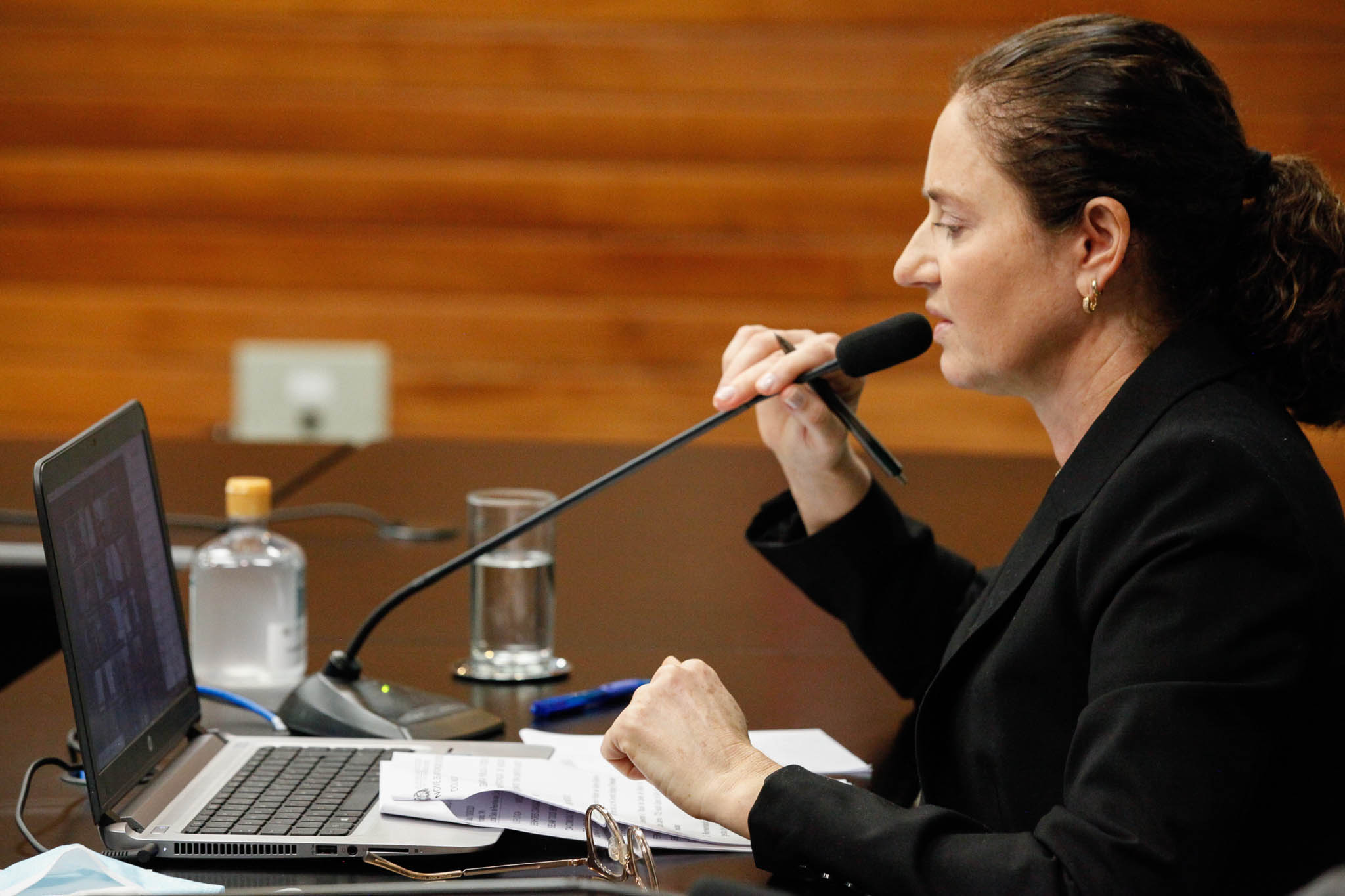 Deputada Marlene Fengler (PSD)