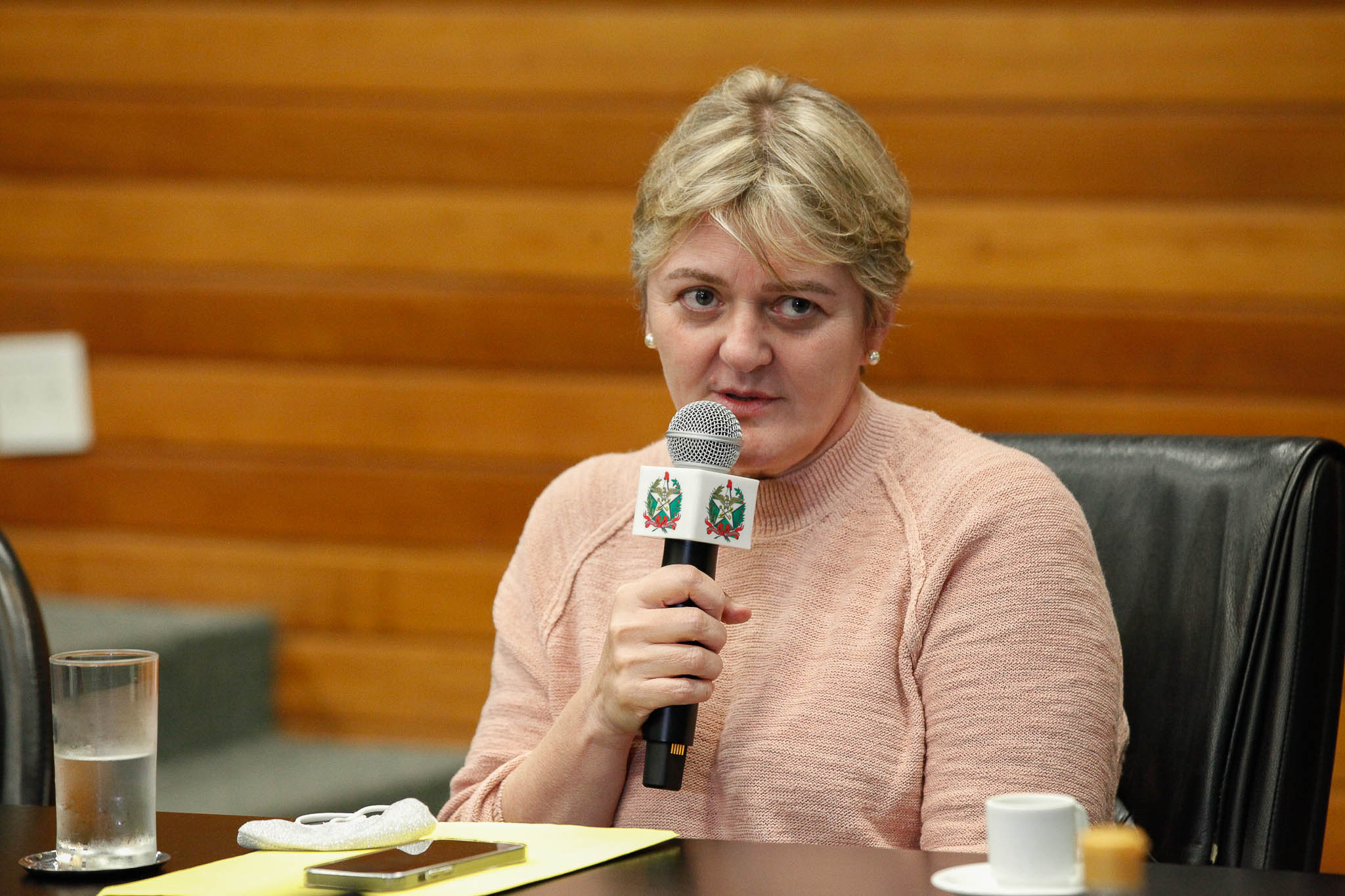 Deputada Luciane Carminatti (PT)