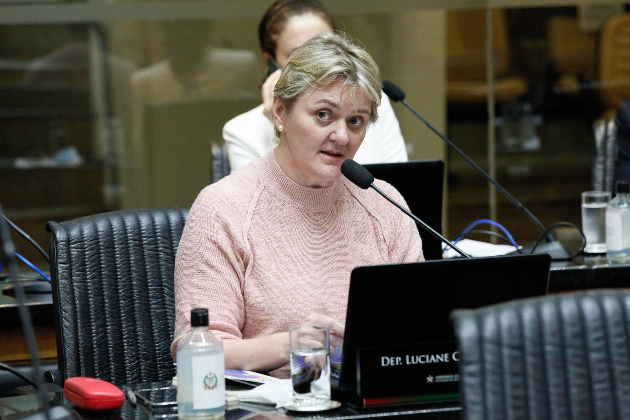 Deputada Luciane Carminatti (PT)