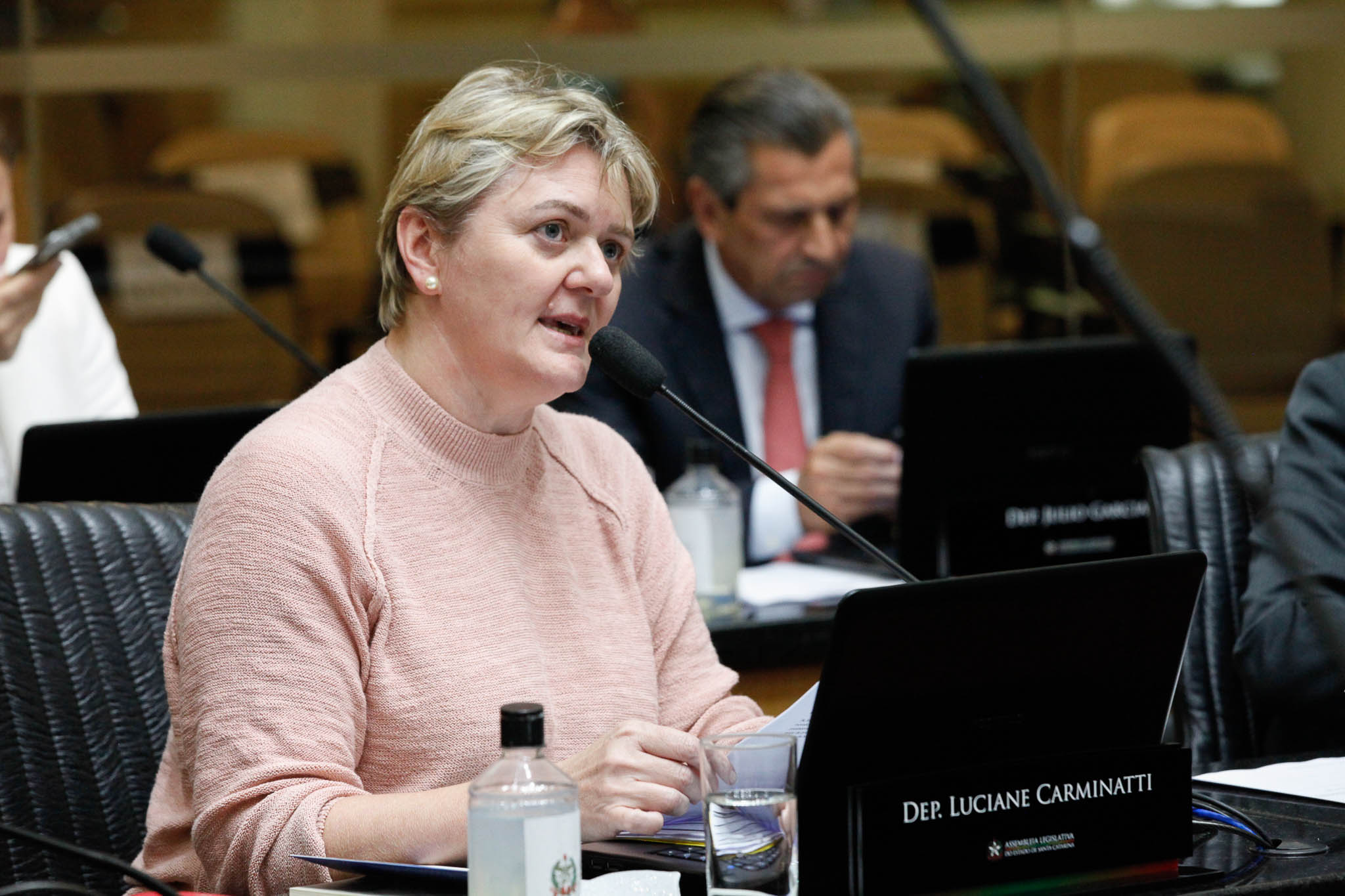 Deputada Luciane Carminatti (PT)