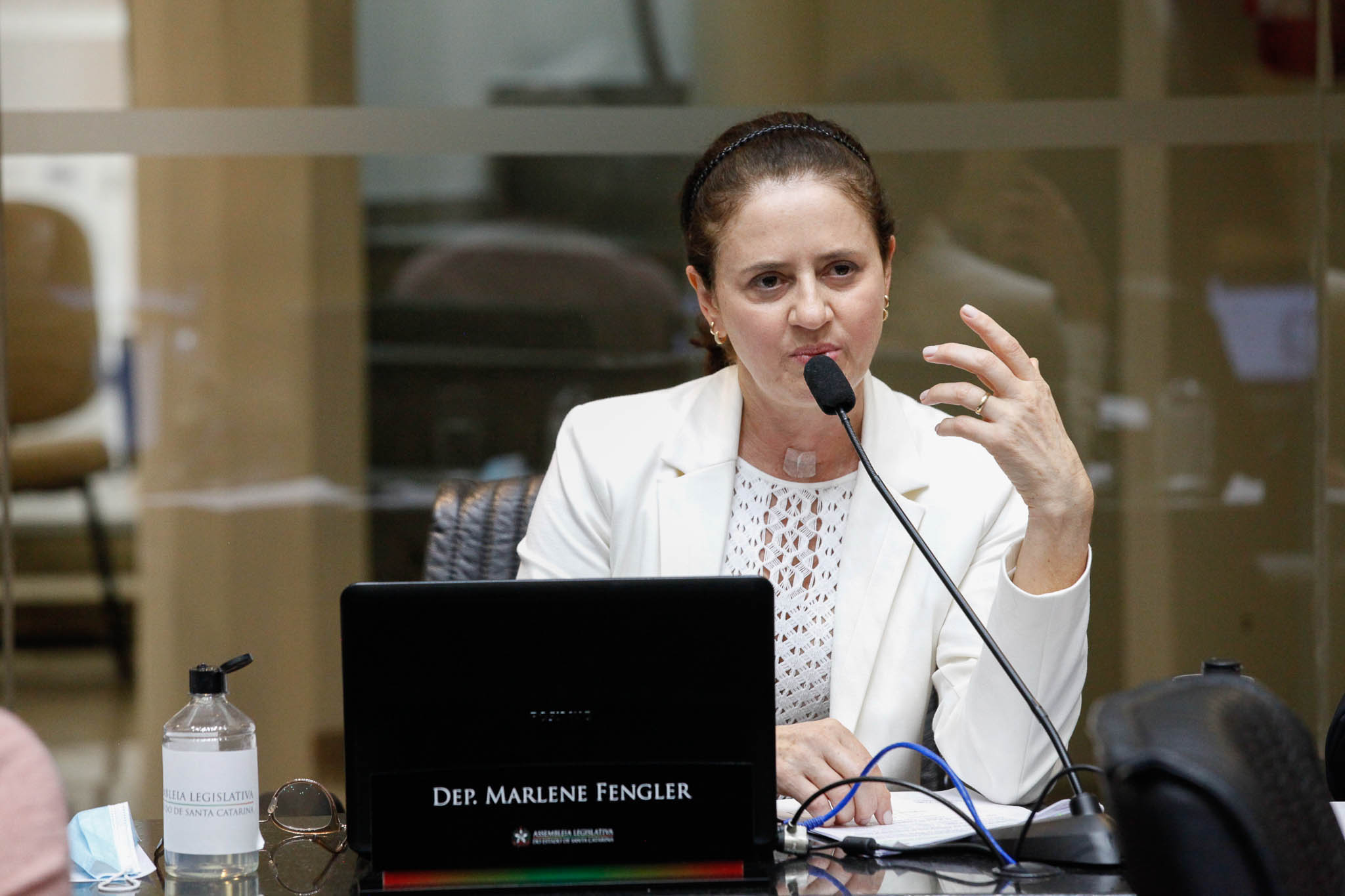 Deputada Marlene Fengler (PSD)