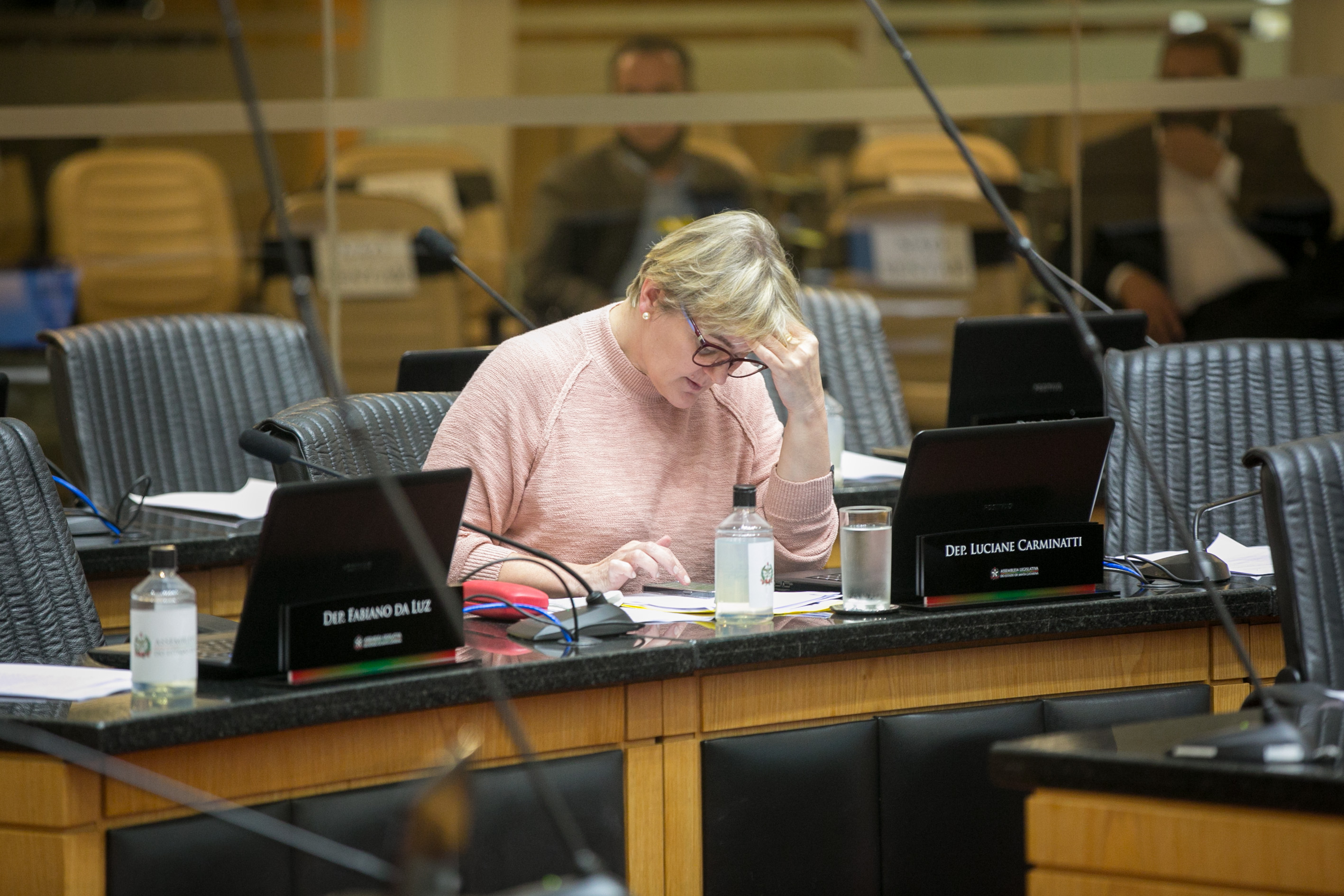 Deputada Luciane Carminatti (PT)