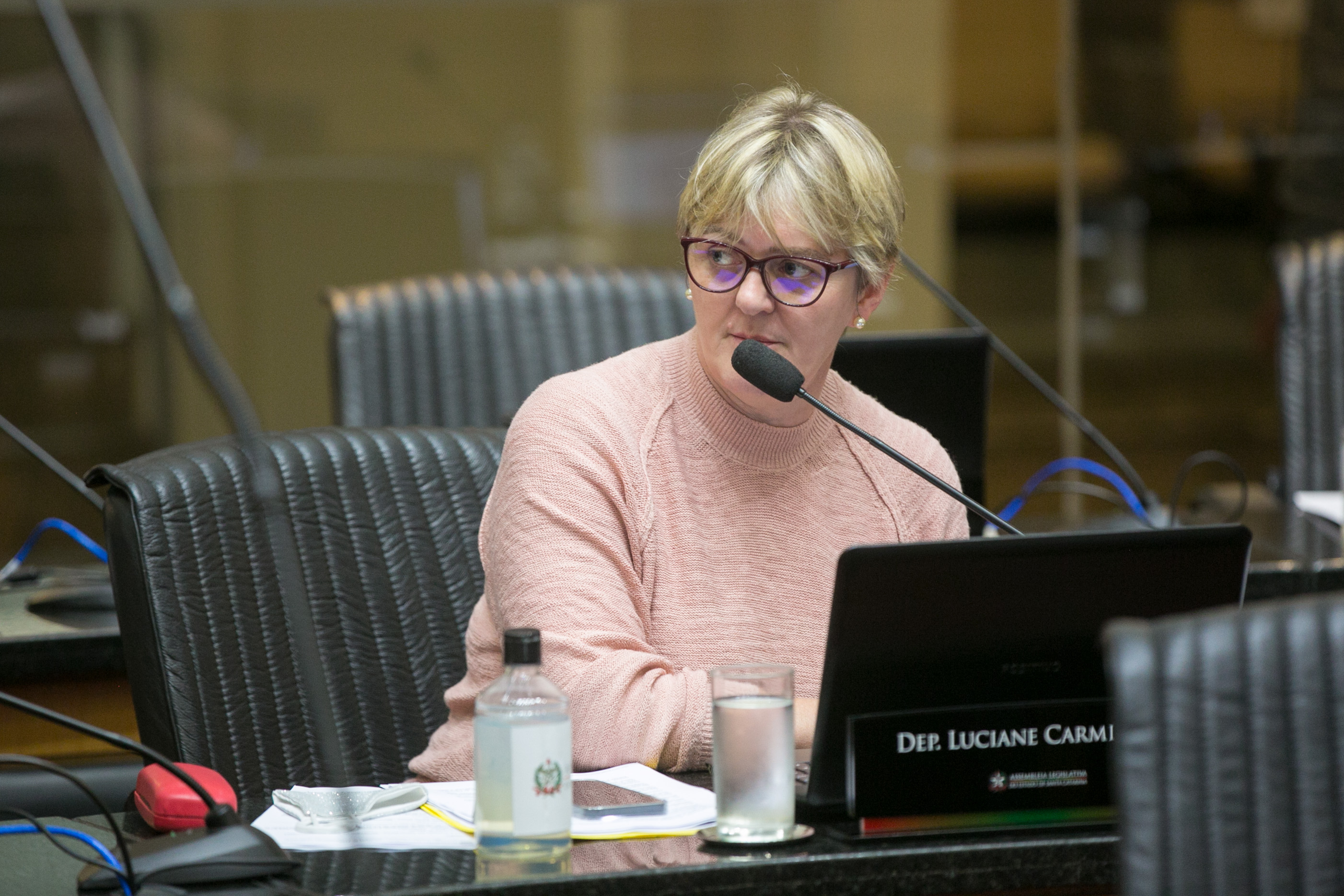 Deputada Luciane Carminatti (PT)