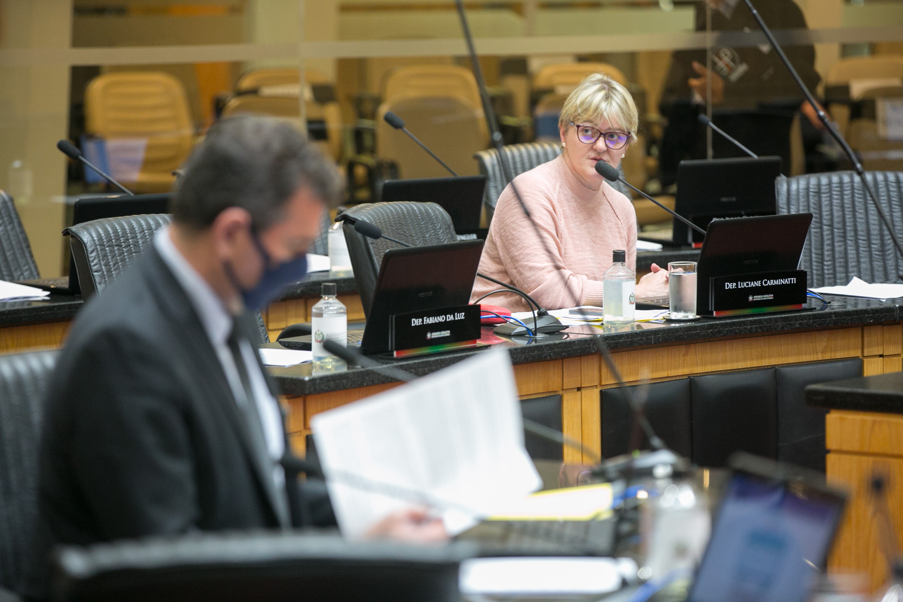 Deputada Luciane Carminatti (PT)