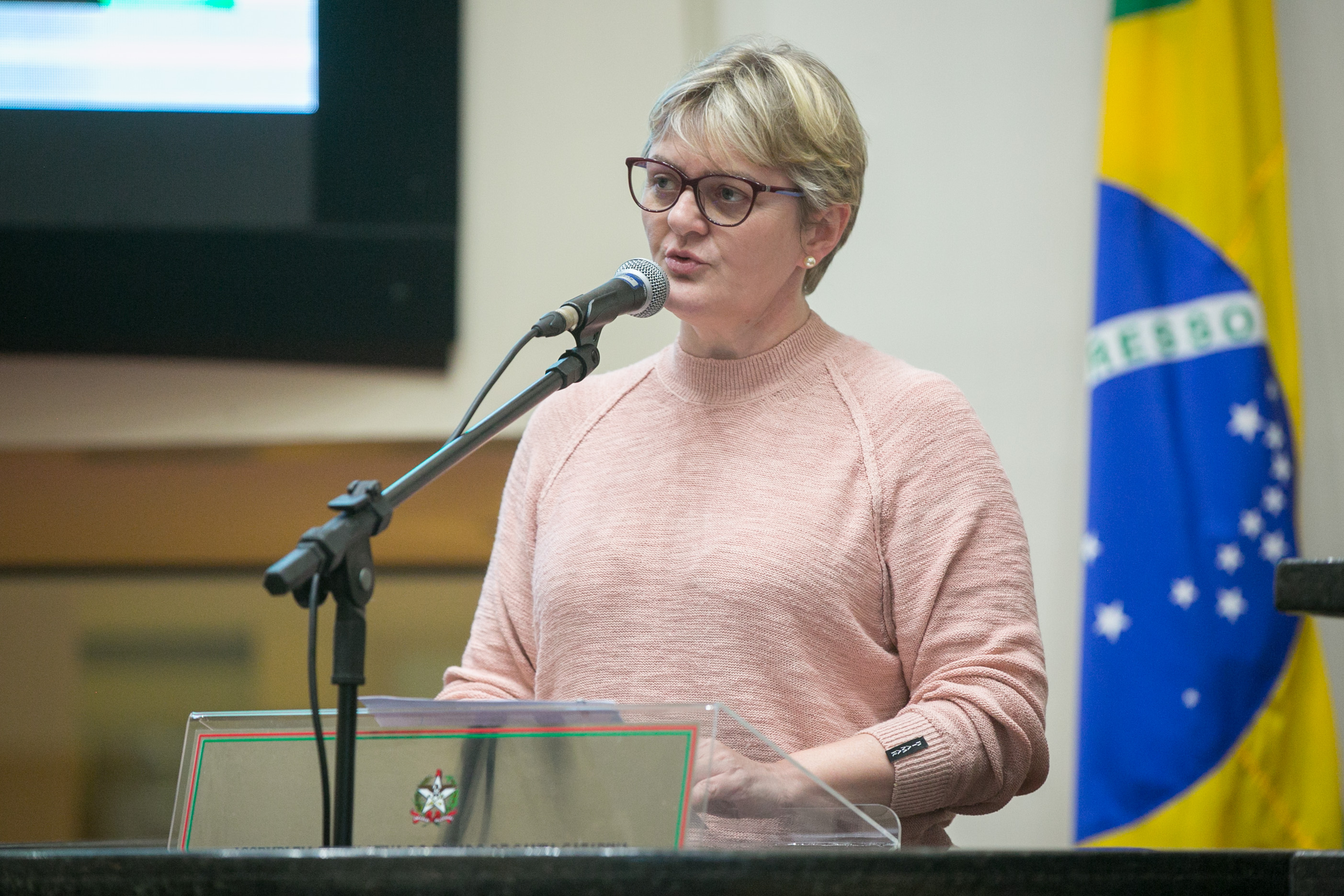 Deputada Luciane Carminatti (PT)
