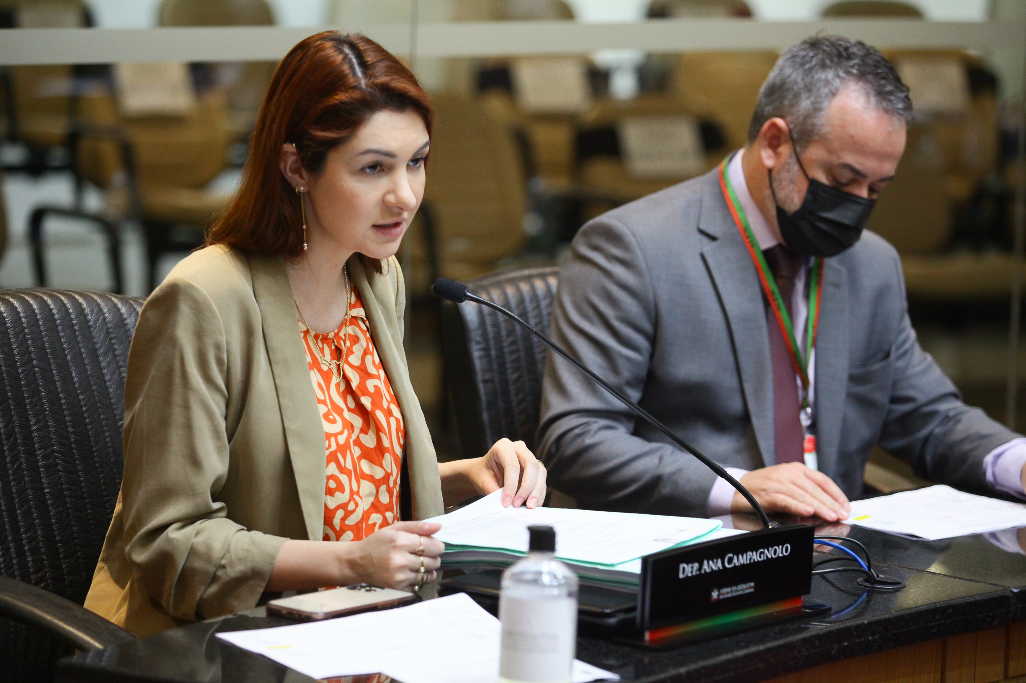 Comissão de Constituição e Justiça - Deputada Ana Caroline Campagnolo (PSL)