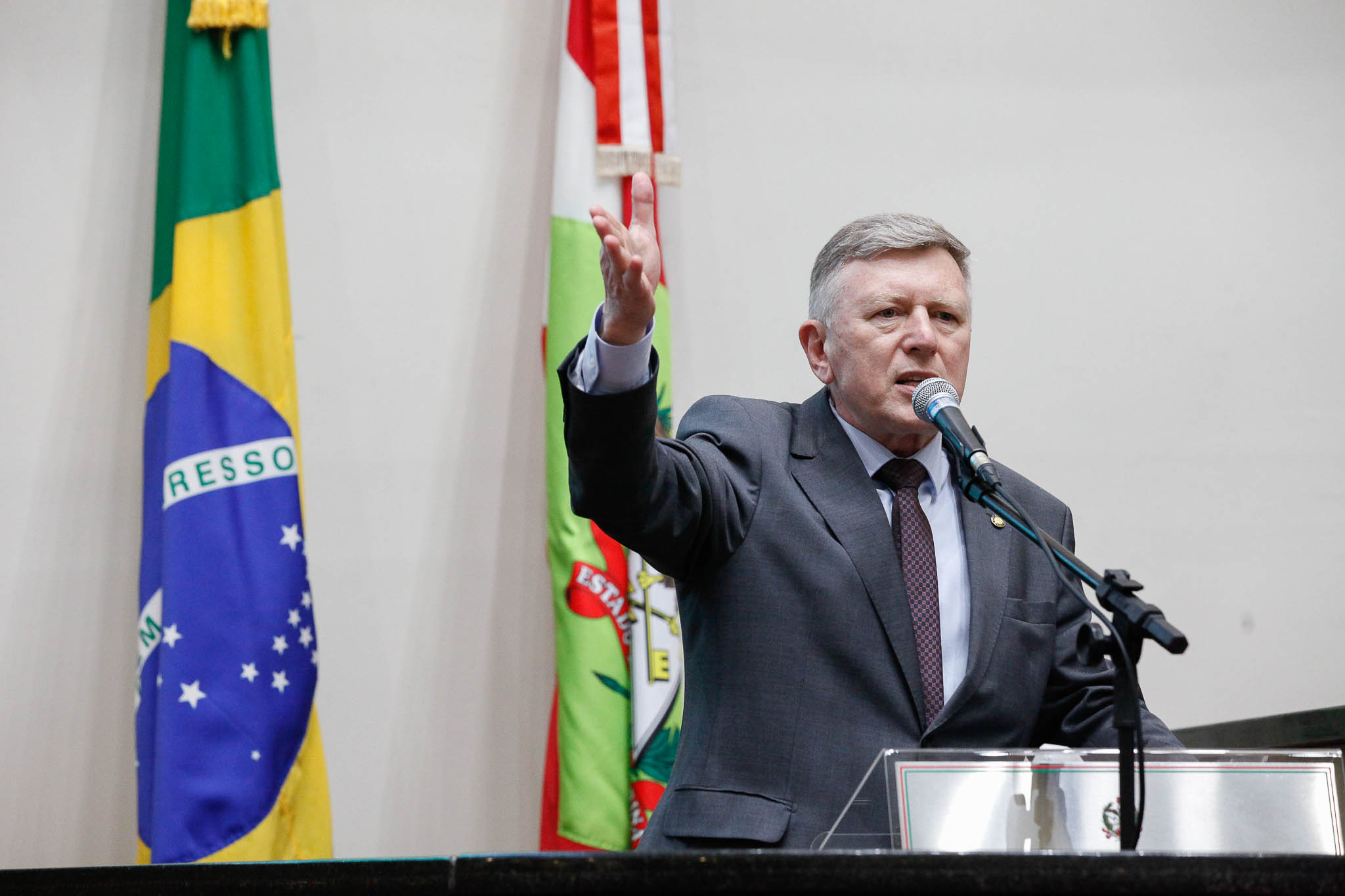 Deputado Milton Hobus (PSD)